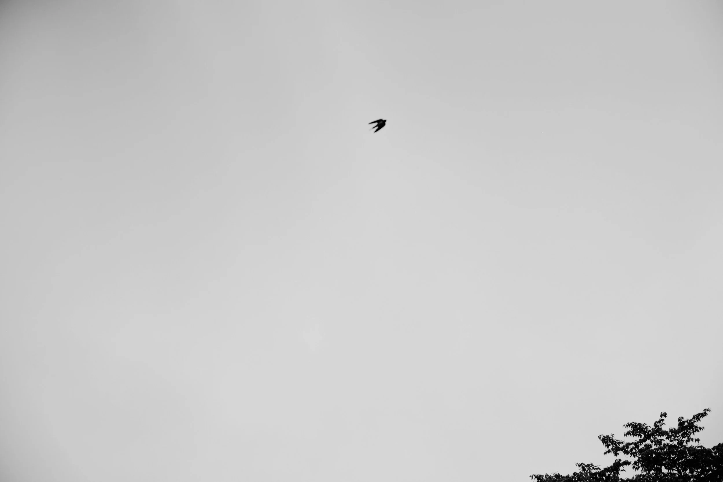 DSC01434.jpg