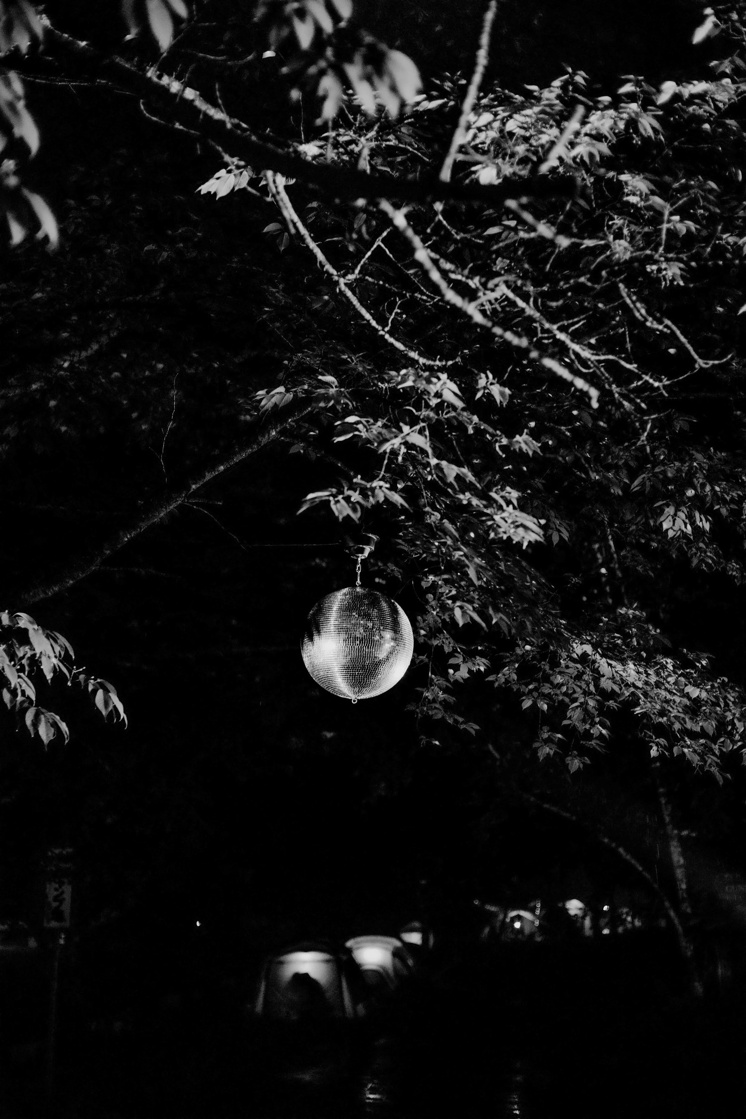 DSC09860.jpg