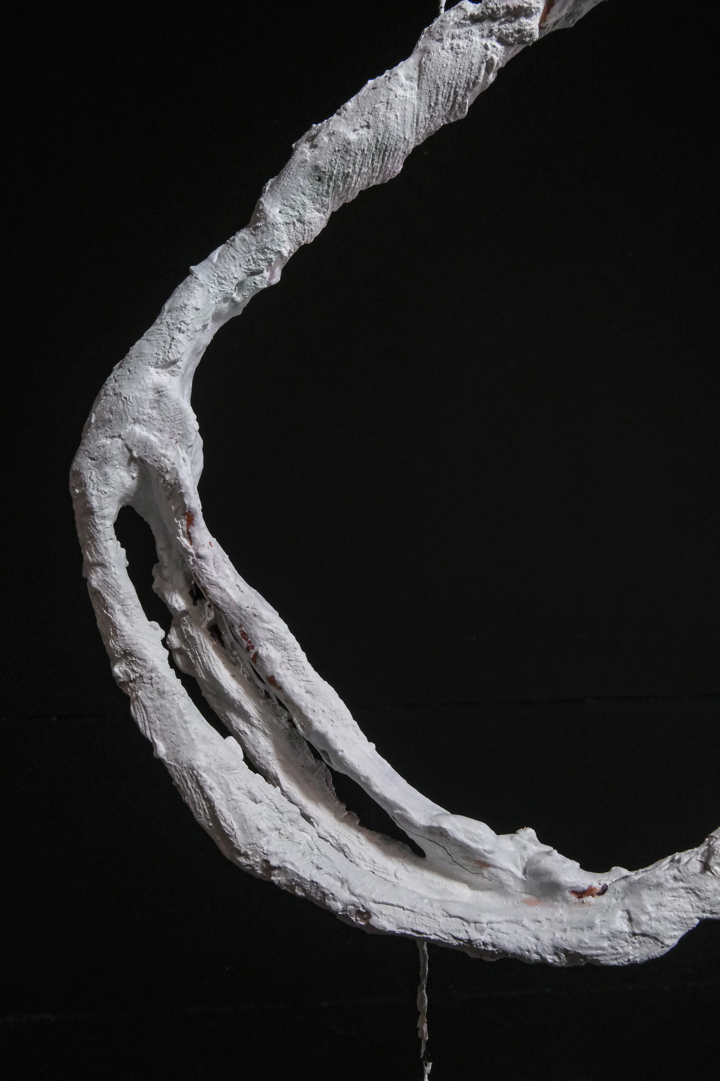 4_Finnish horns_detB.jpg