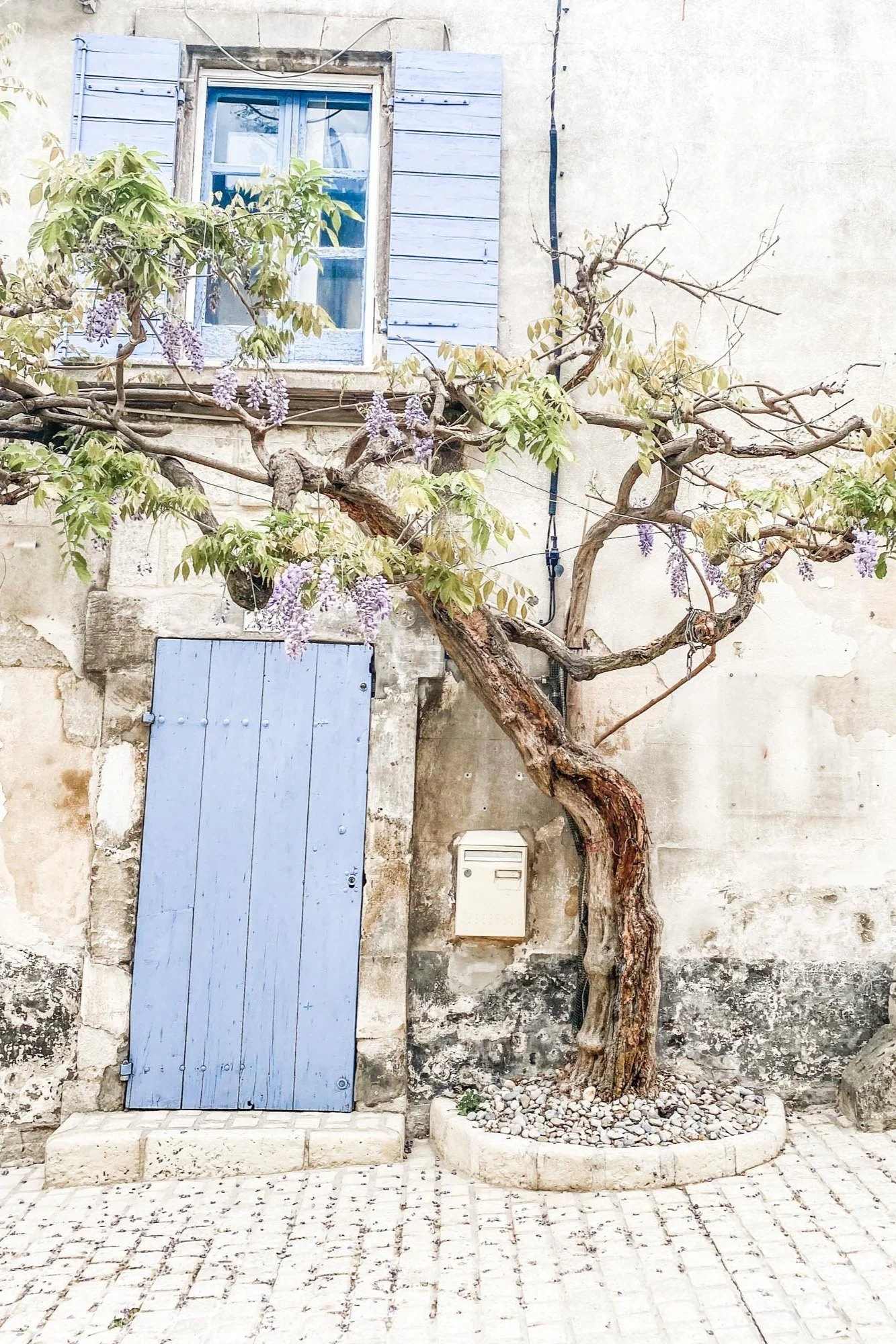Provence