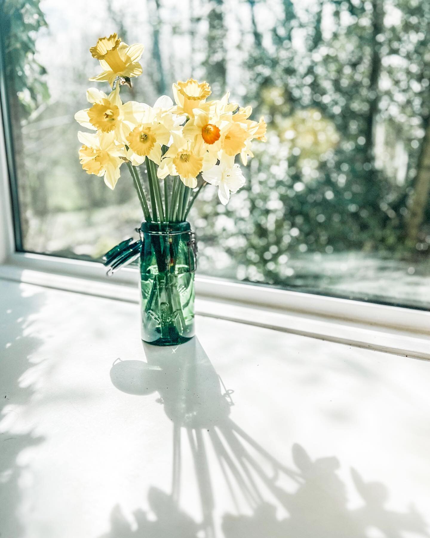 Every season has beauty! These daffodils grow wild in our woodland, and I picked some on my dog walk last night to brighten up the kitchen. This little isle I&rsquo;ve moved to is full of wonders- come explore the Cotswolds with me this summer!