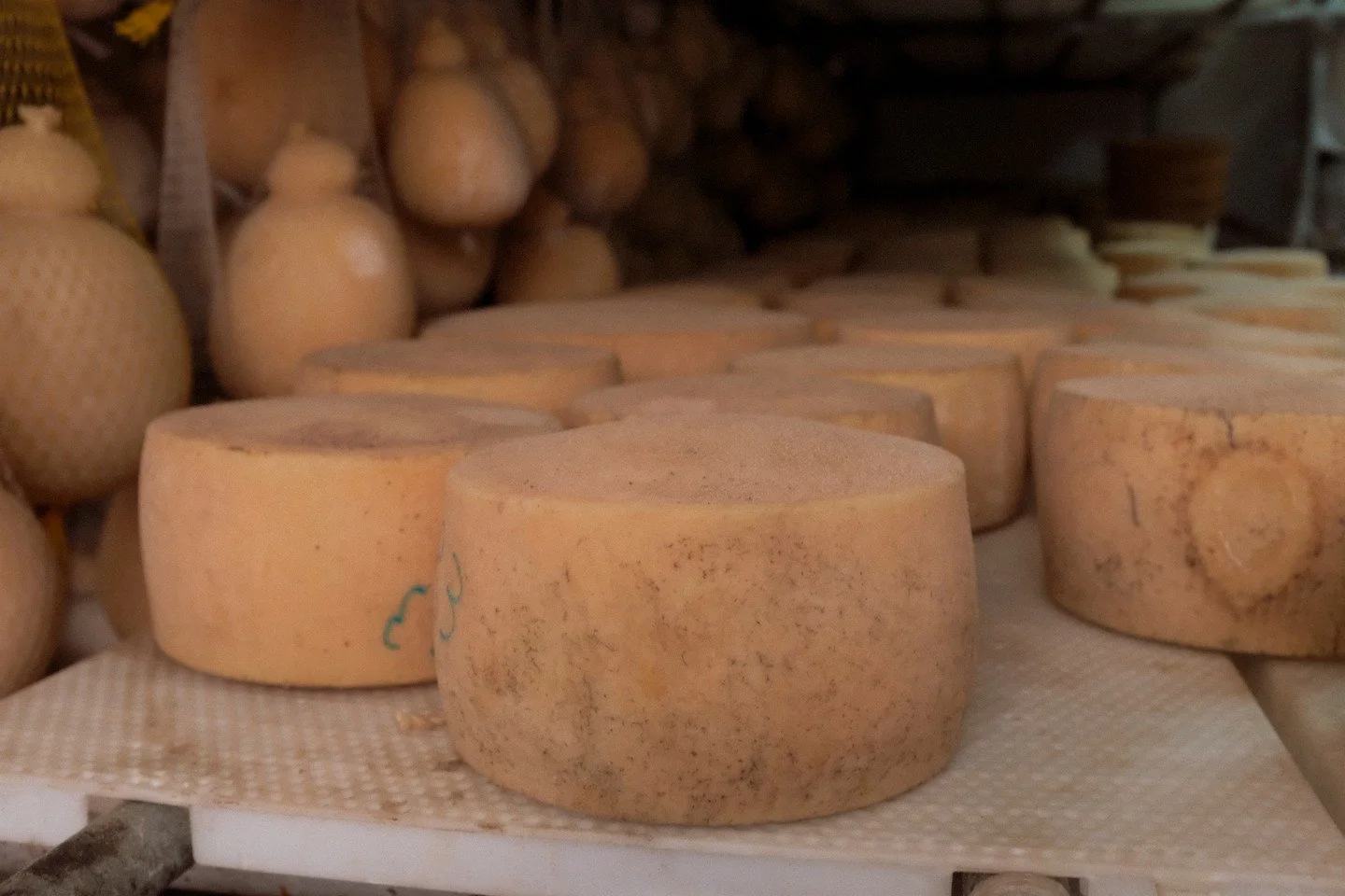 Intensely fragrant cheese experiences are always a highlight of a Raw Milk Retreat! We visited this cellar on our Puglia retreat and were then treated to an absolutely lush picnic of all the products made on the farm- including their beer! 

 Is chee
