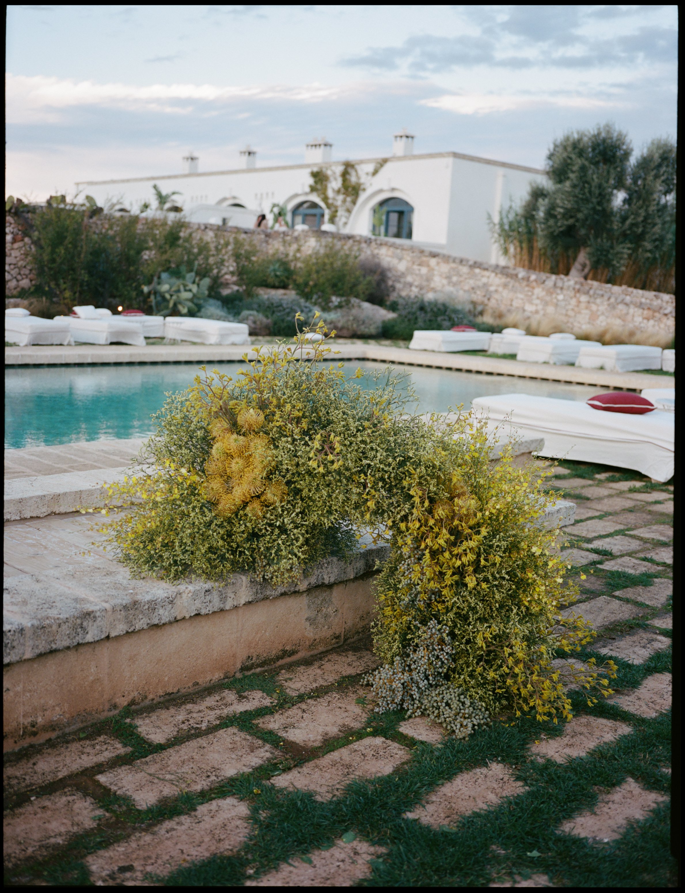 britt tim puglia wedding-10.jpg