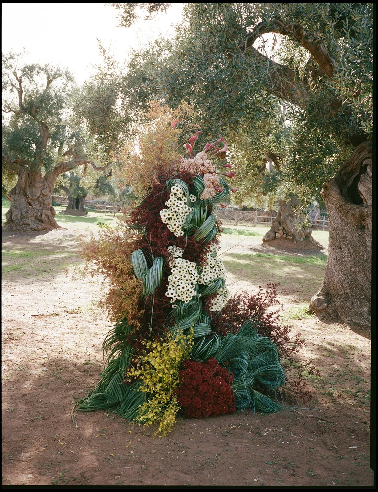 3 puglia-125_websize.jpg