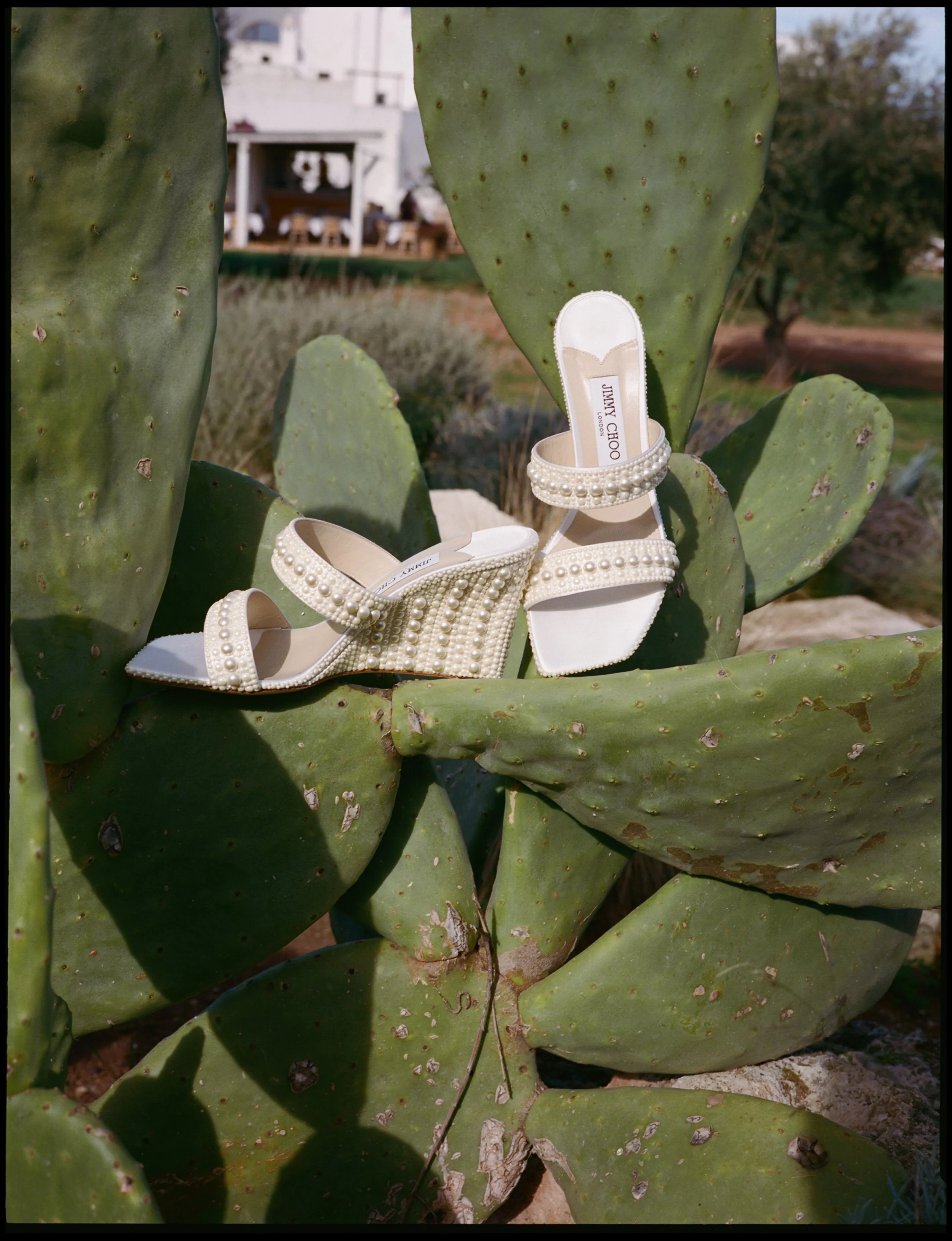 britt tim puglia wedding-404.jpg