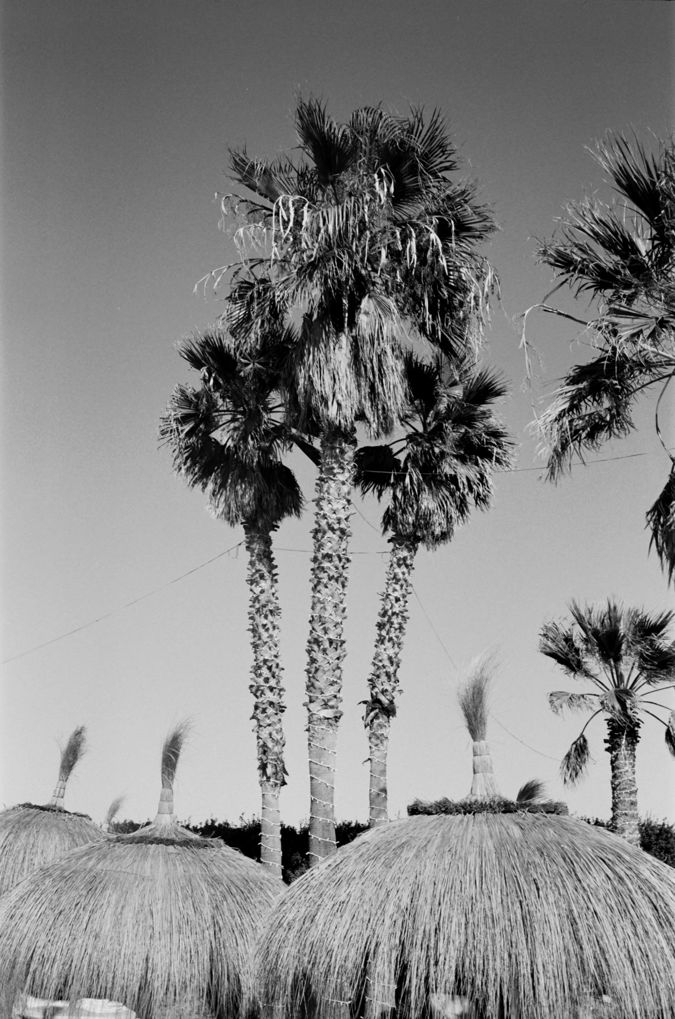 britt tim puglia wedding-160.jpg