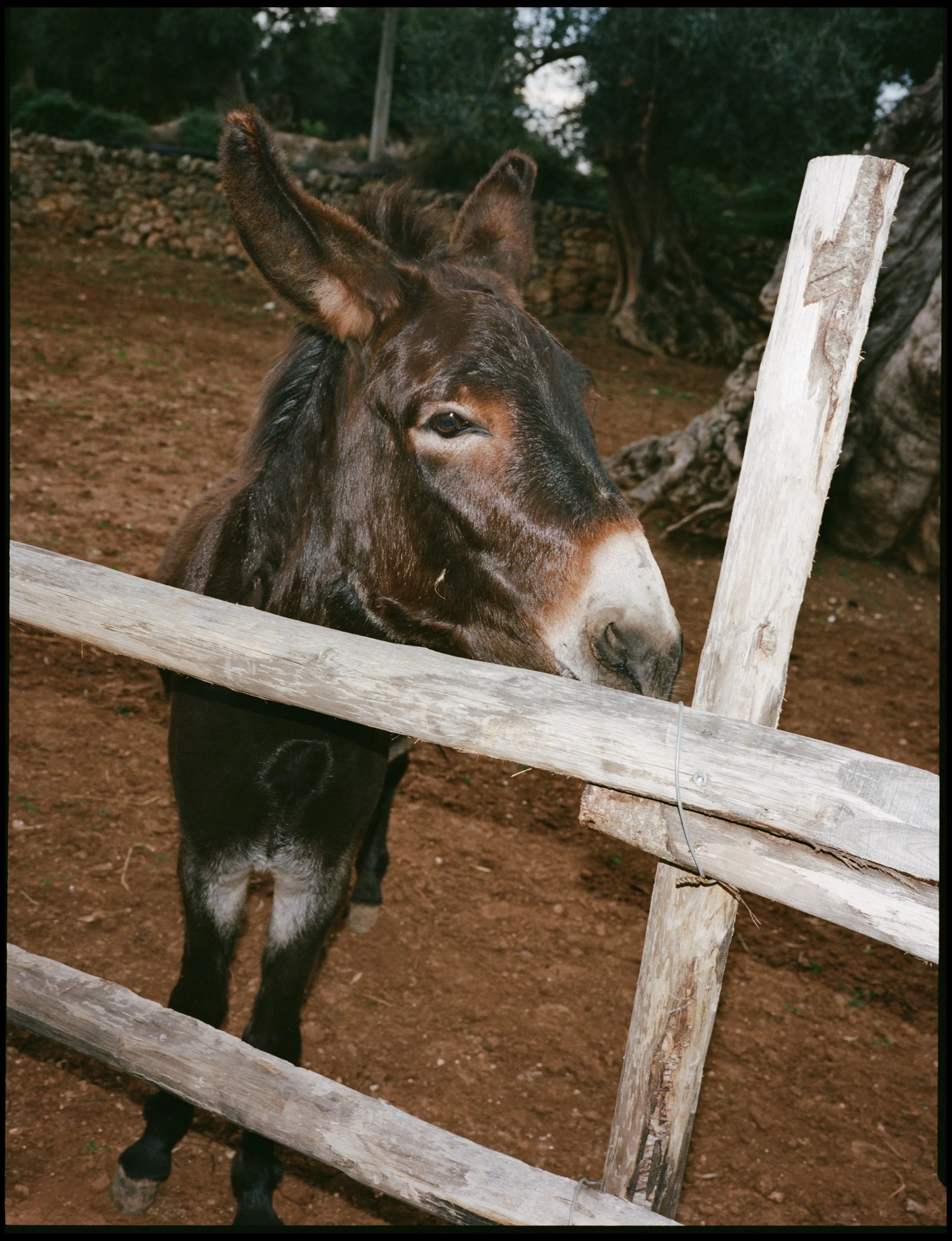 britt tim puglia wedding-2.jpg