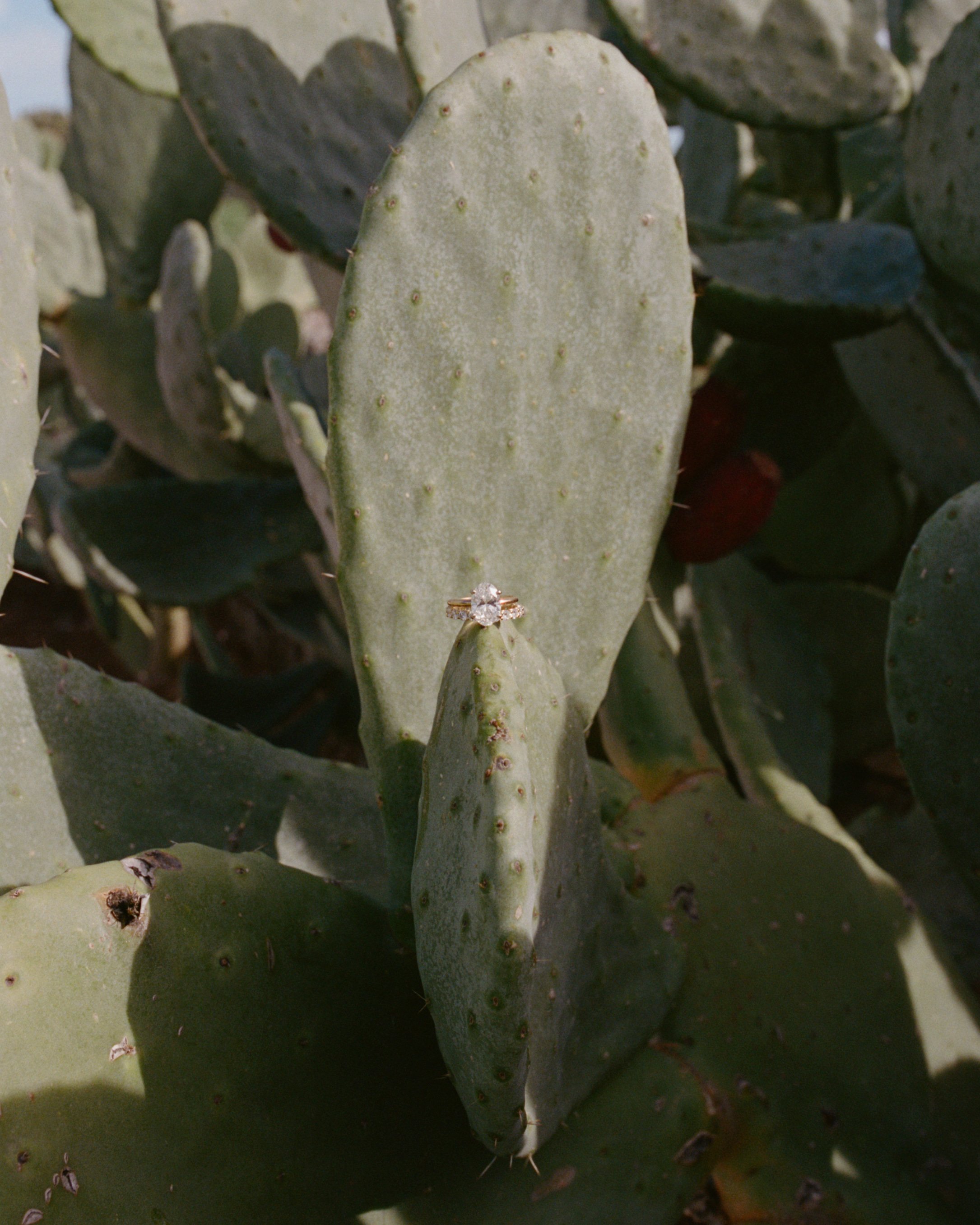 britt tim puglia wedding-408.jpg