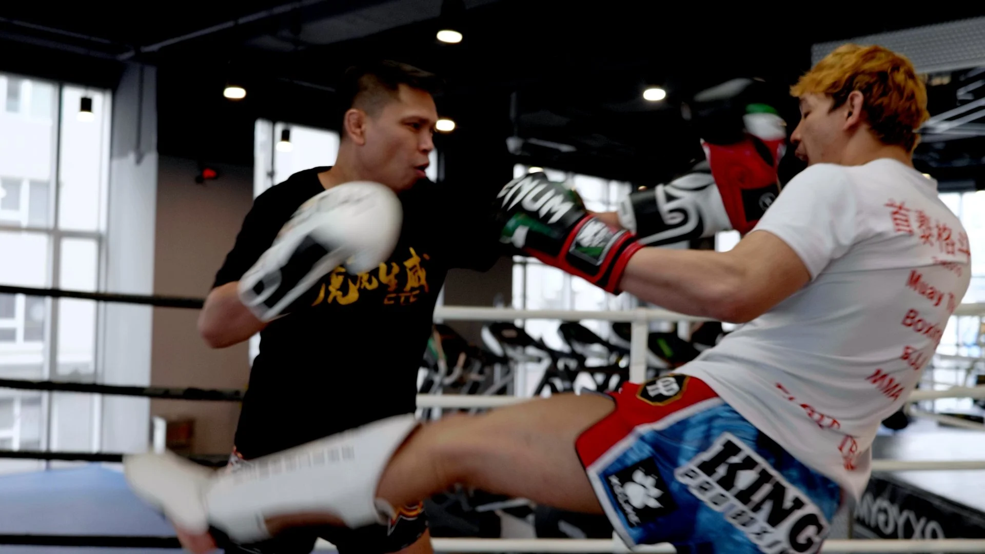 Two men practicing Muay Thai boxing in a gym, one throwing a kick and the other blocking with gloves, in a boxing ring with windows in the background.