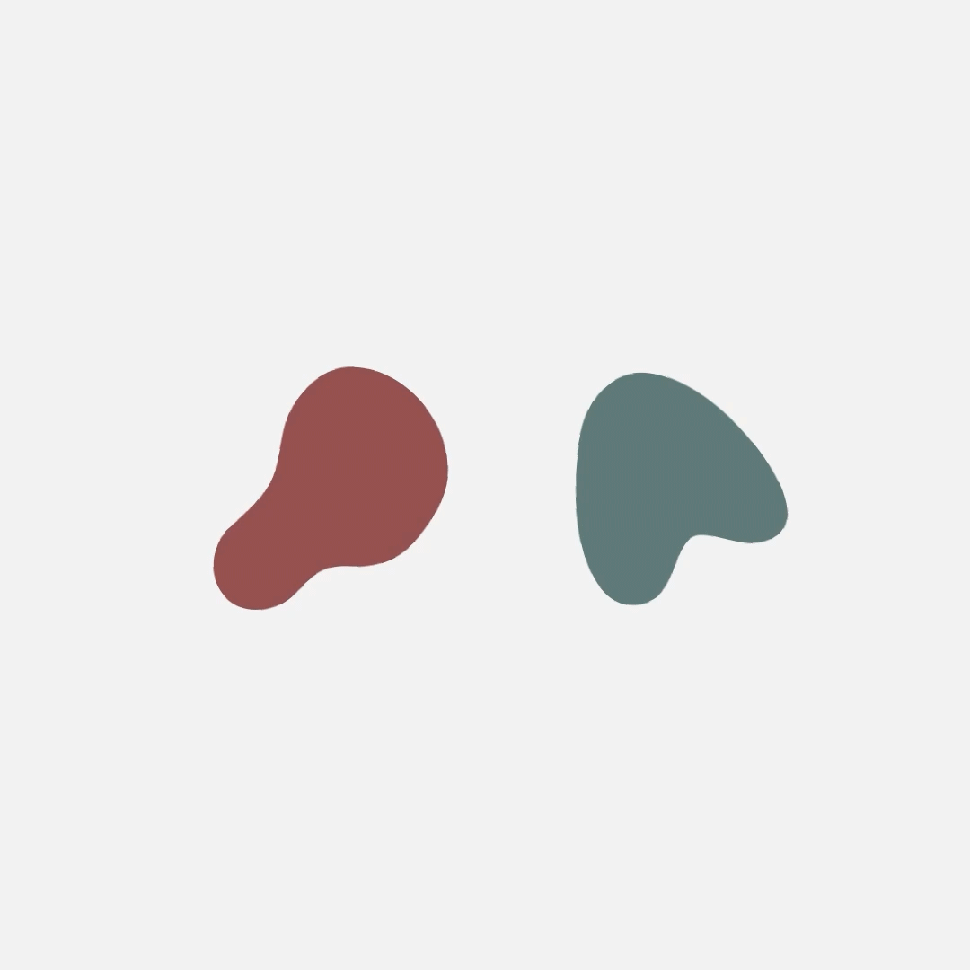 VP_logo_ani_grey.gif