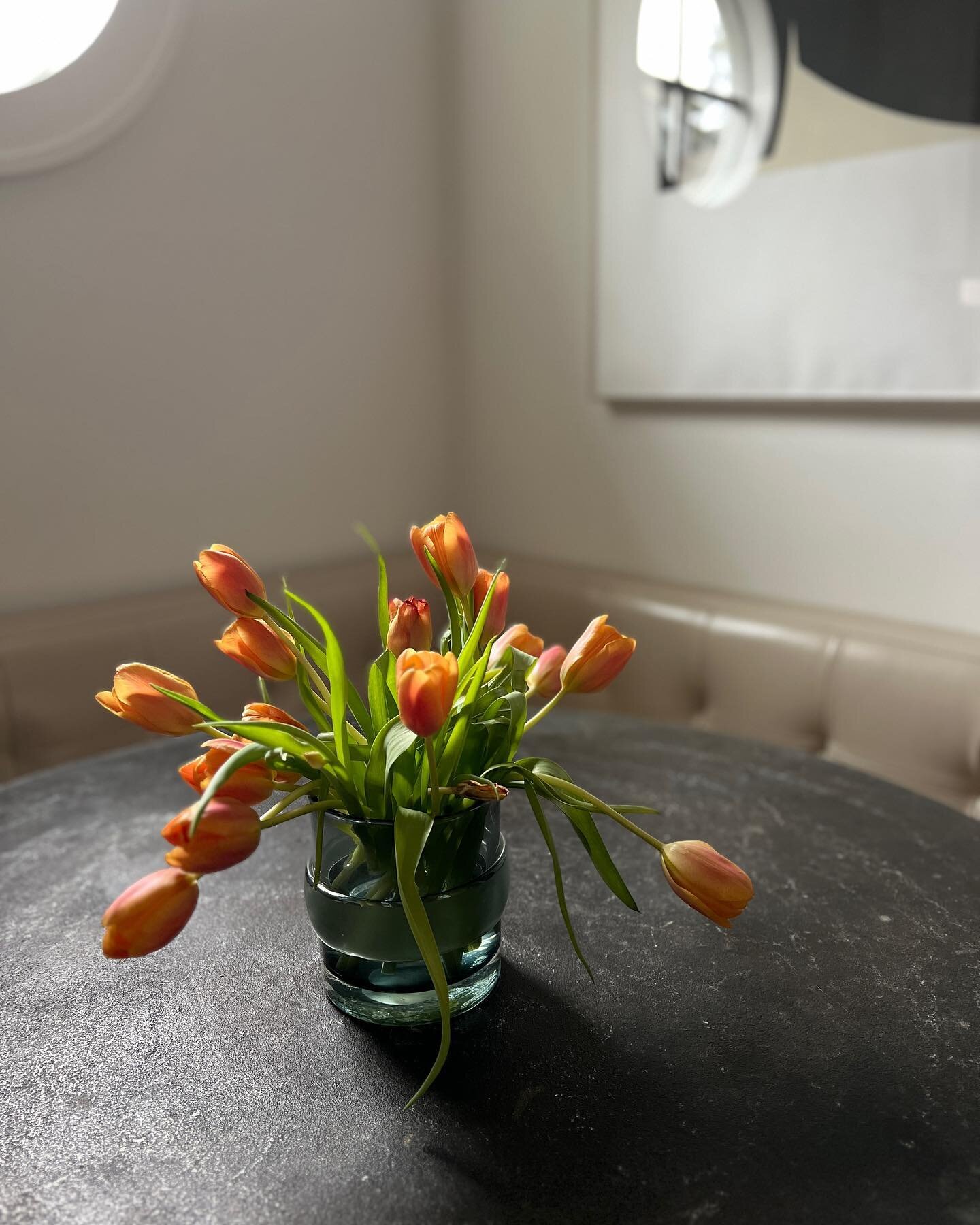 Just because || Easter tulips 🧡