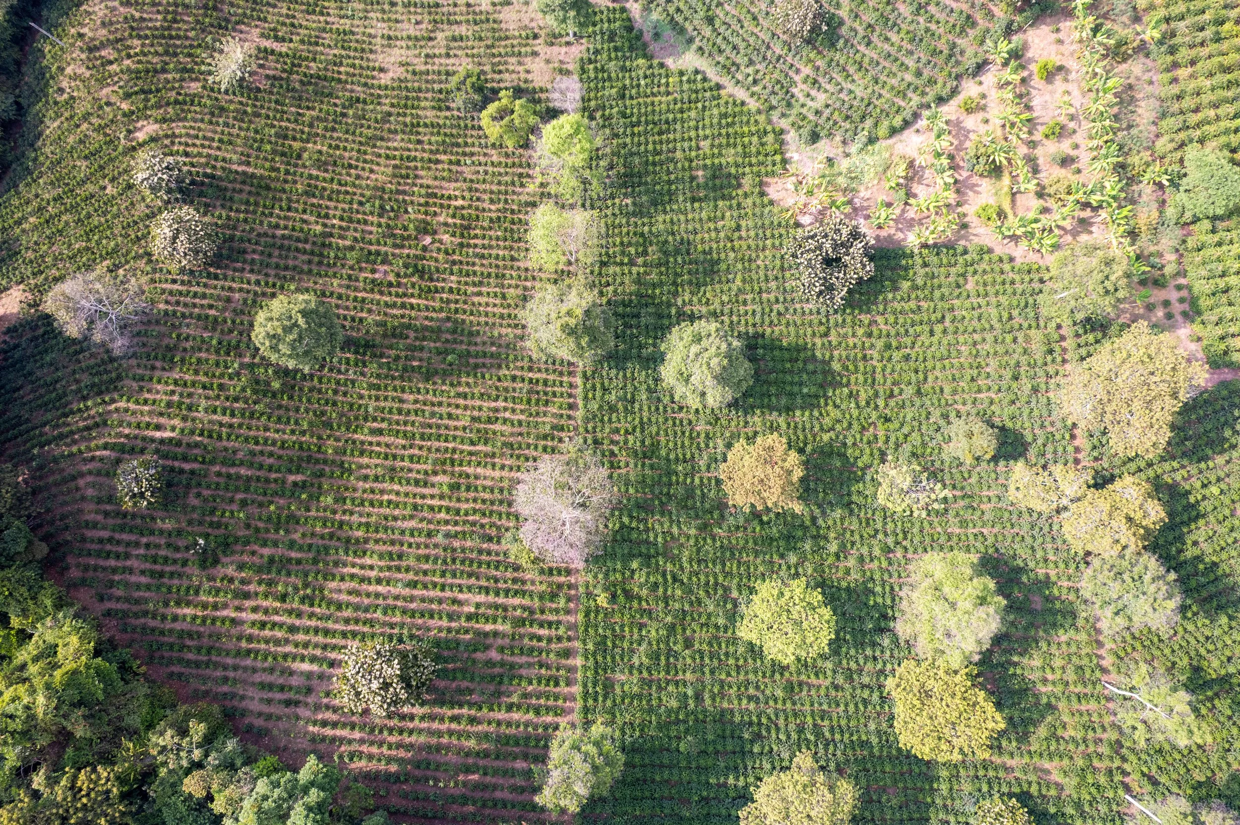 Sebastian Gomez (8).jpg