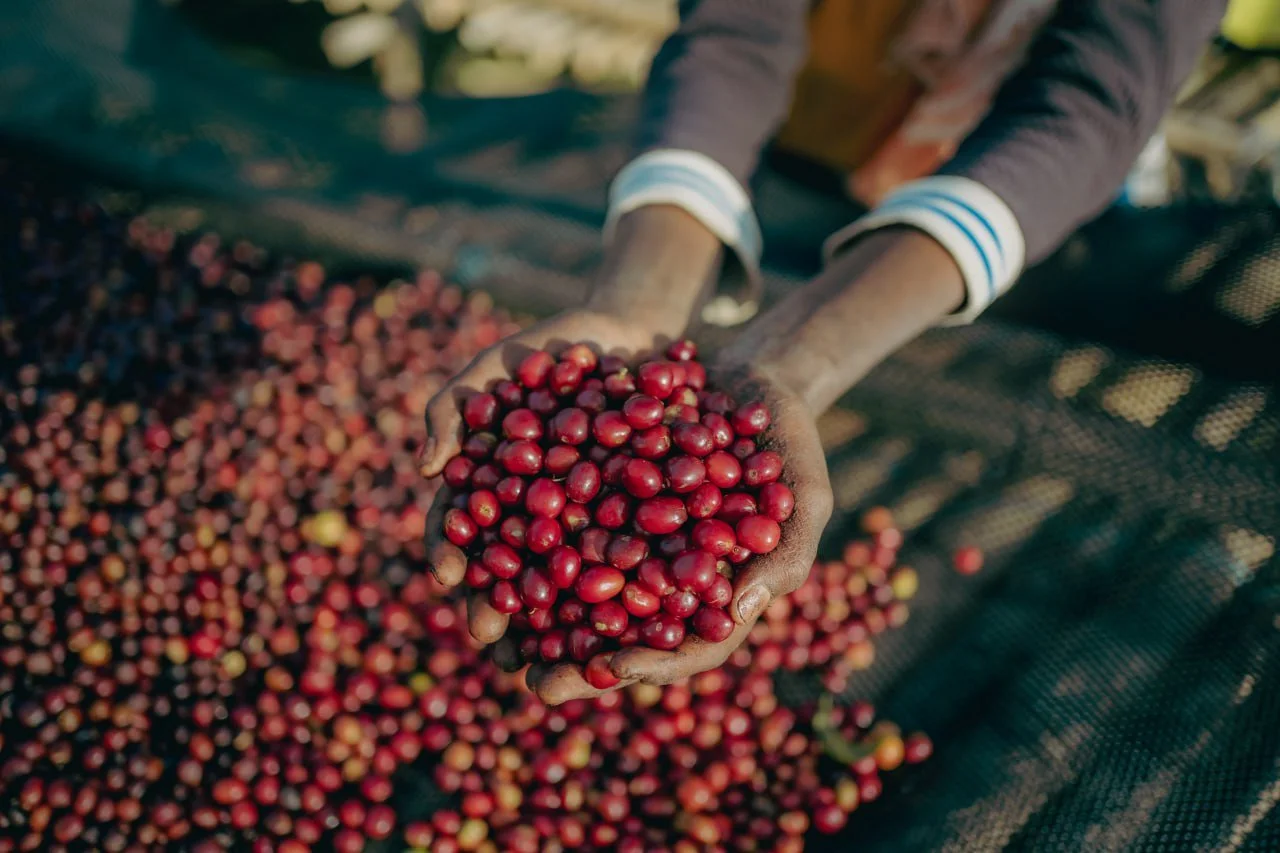 2025-06-19 11.03.55.jpg