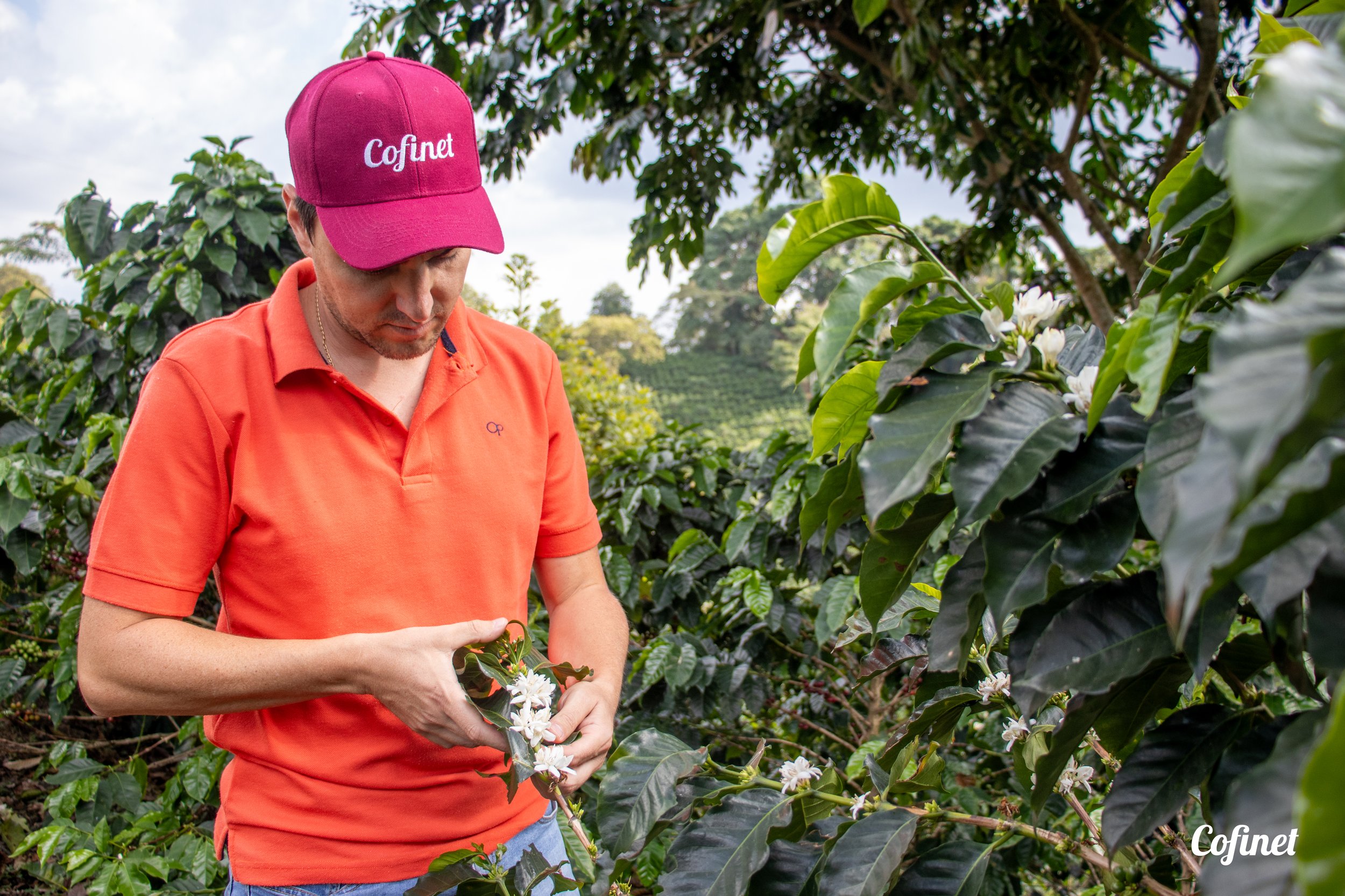 Sebastian Gomez (5).jpg