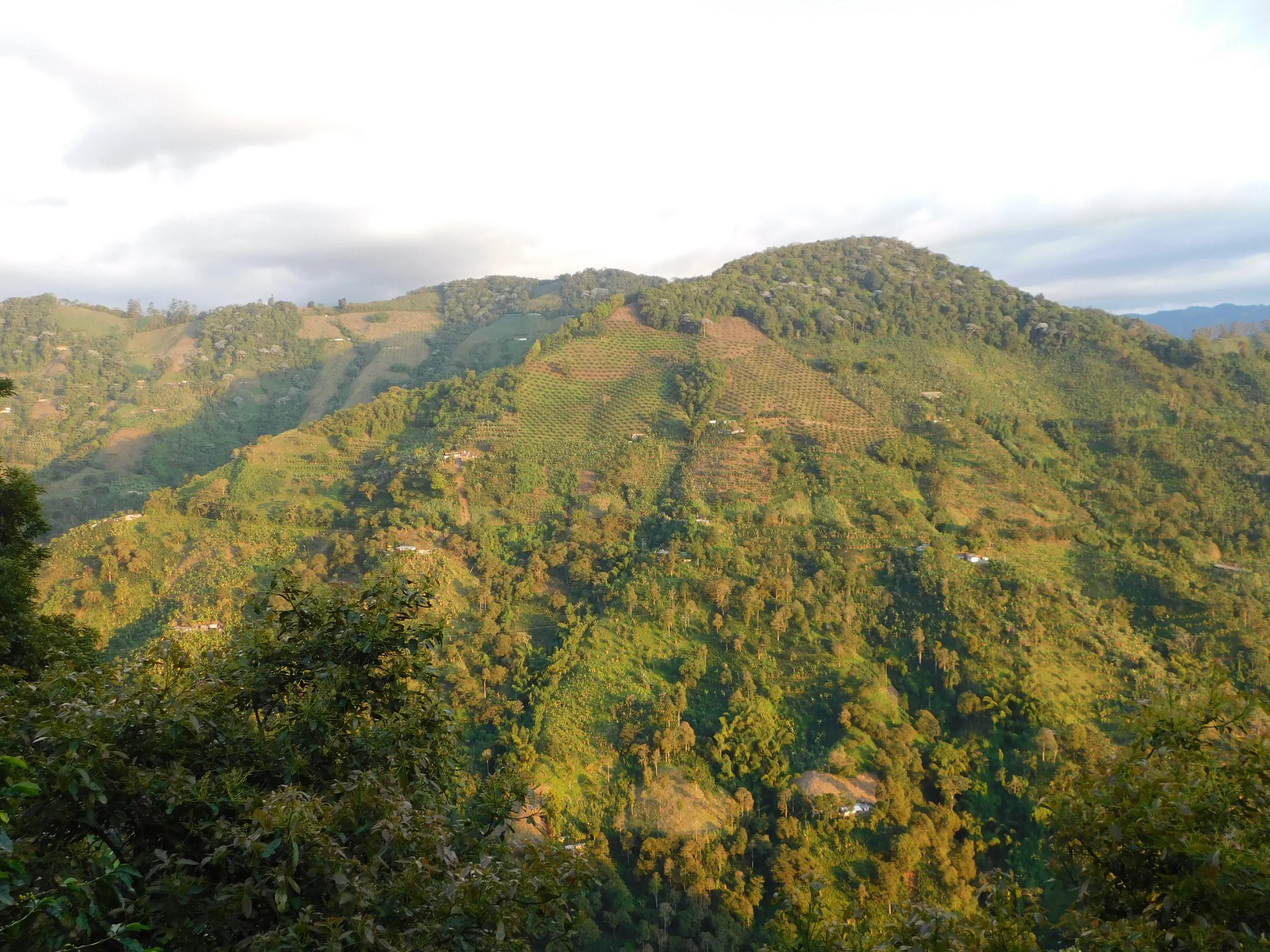 Cesar Buesaquillo_farm view3.JPG