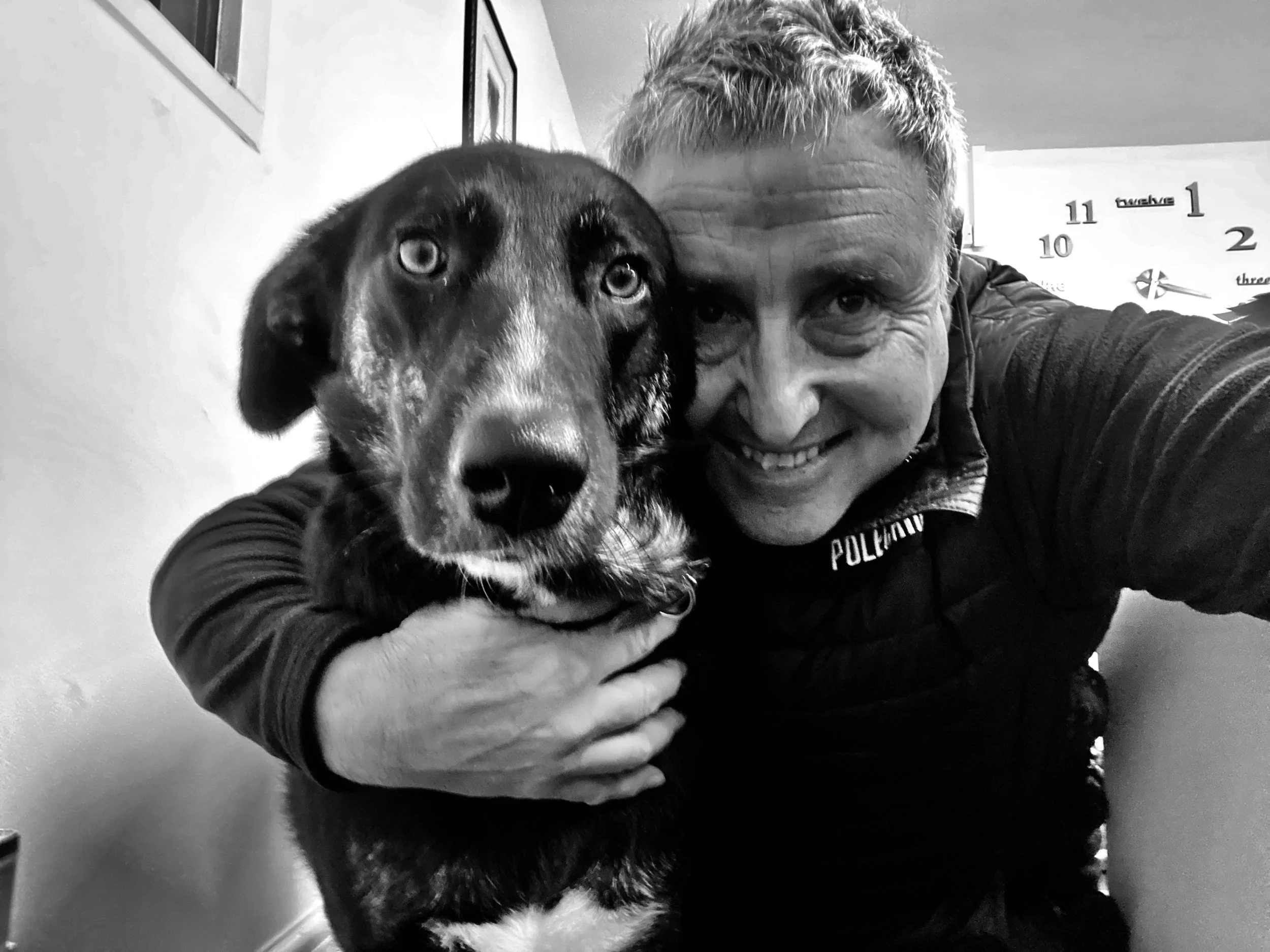 Dogs in the Workplace