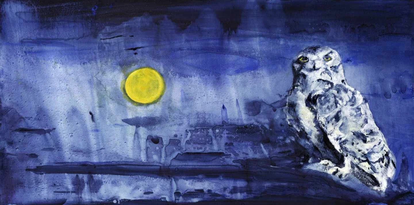 Owl Waiting 20 web.jpg