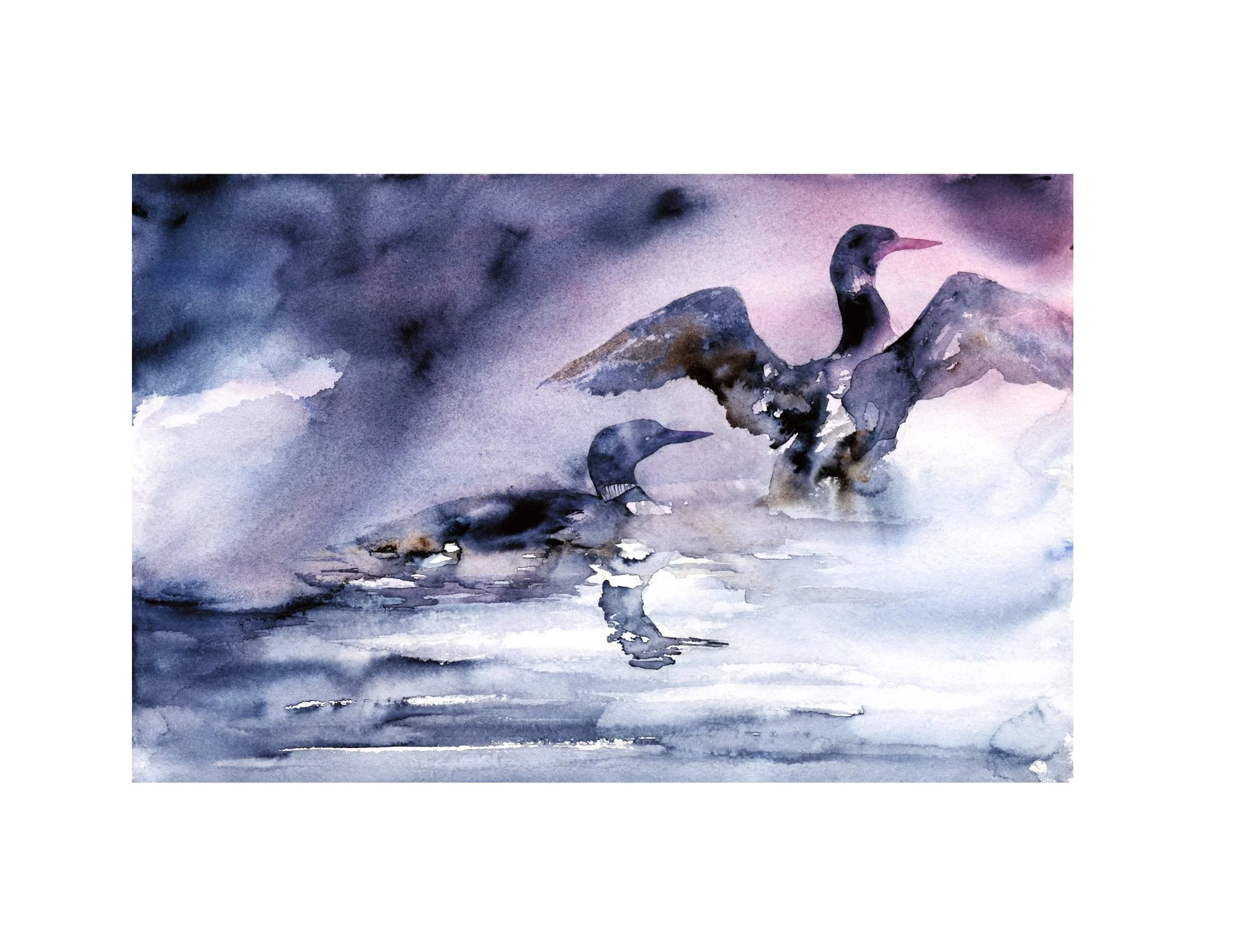 Loon Mist White Border.jpg