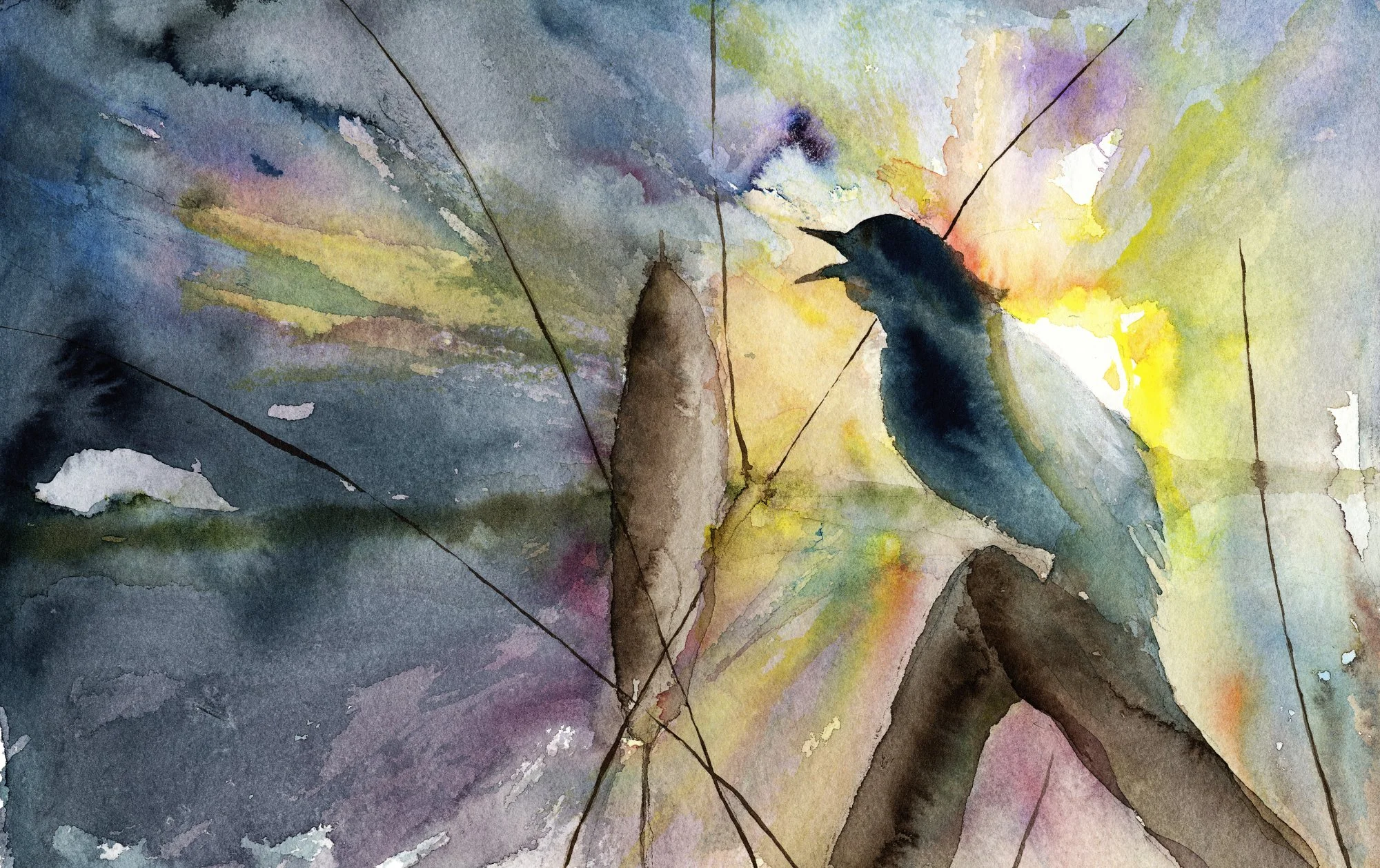 4205B_MarshCallII web.jpg