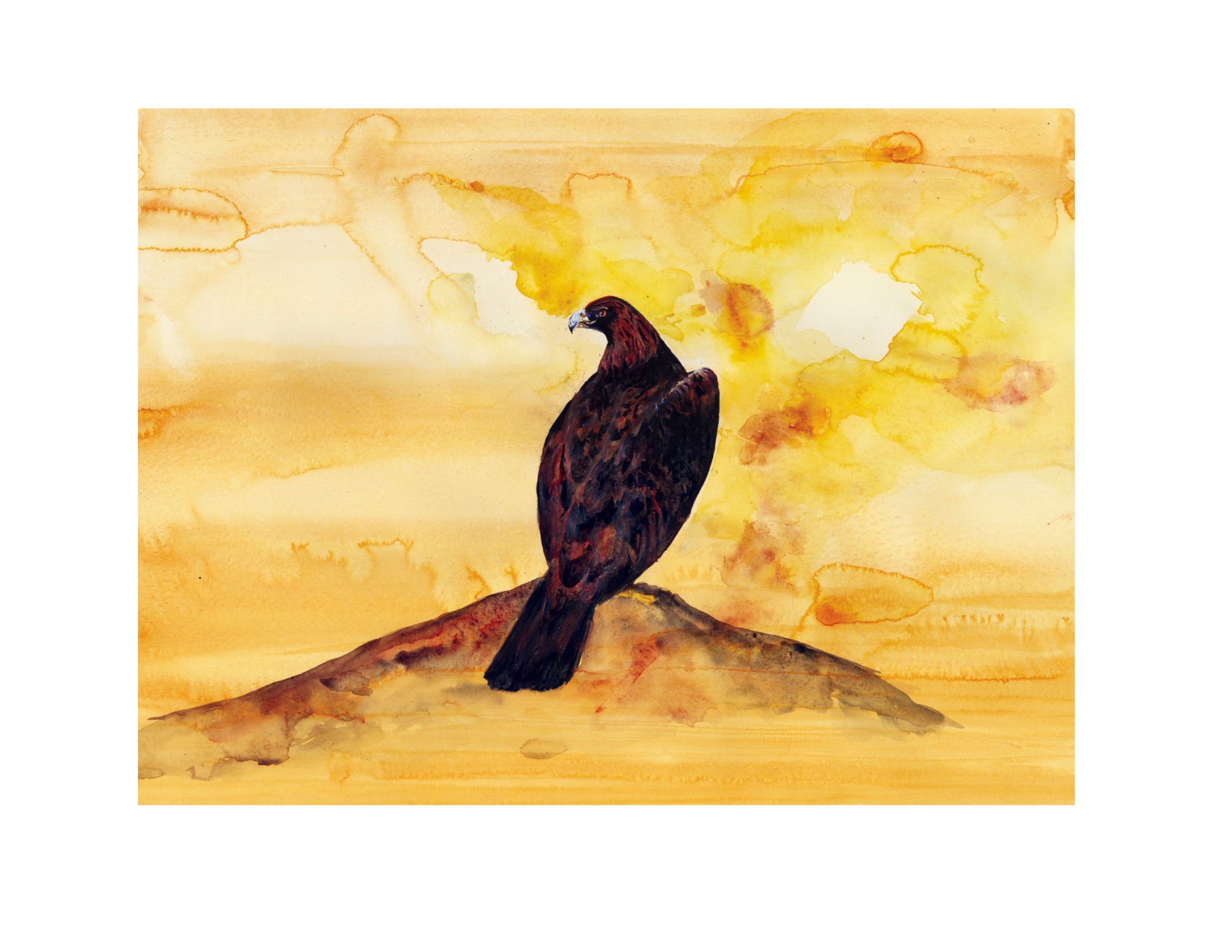 Golden Morning White Border.jpg