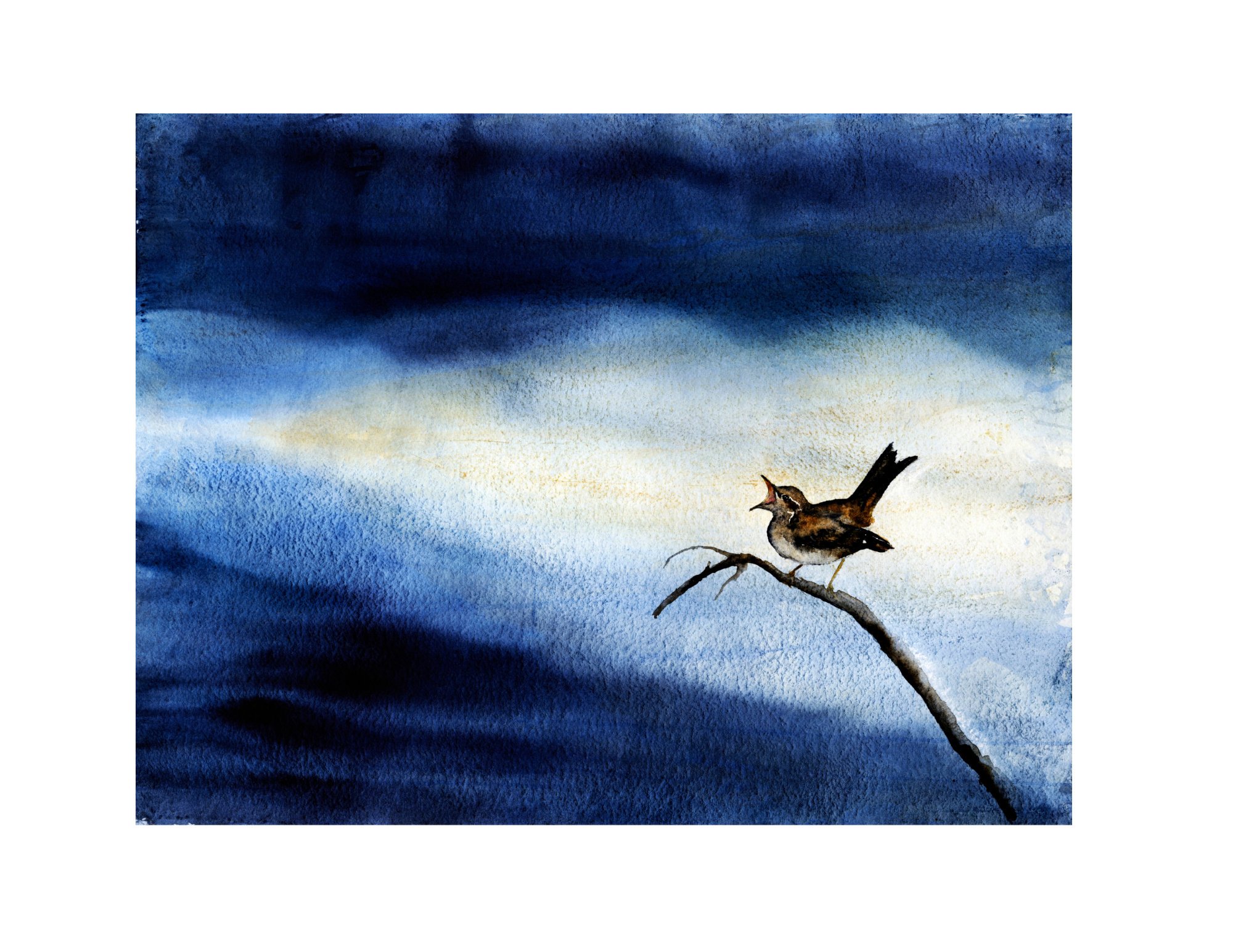 Earlly Morning SongWhite Border.jpg