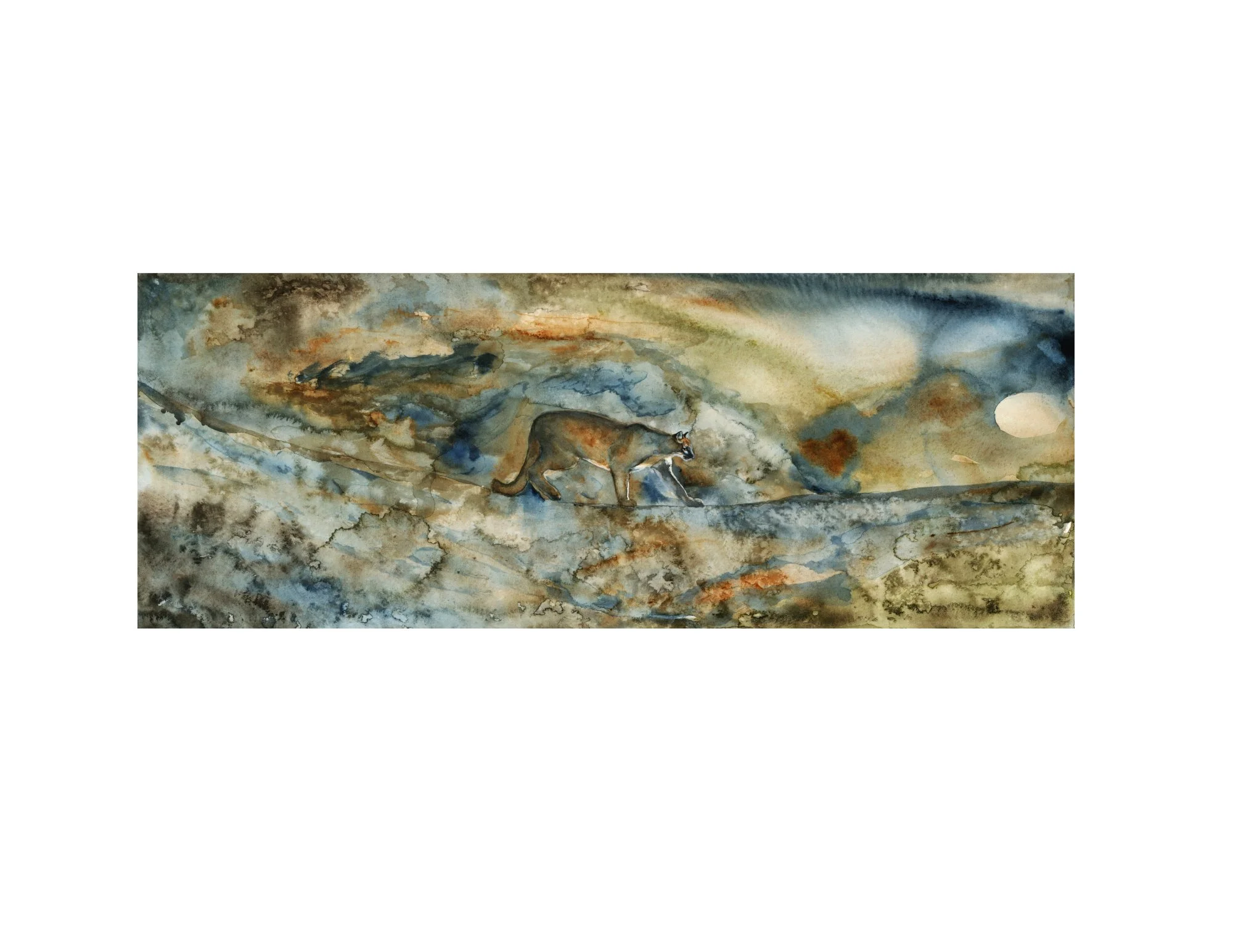 Cougar almost Home II with White Border.jpg