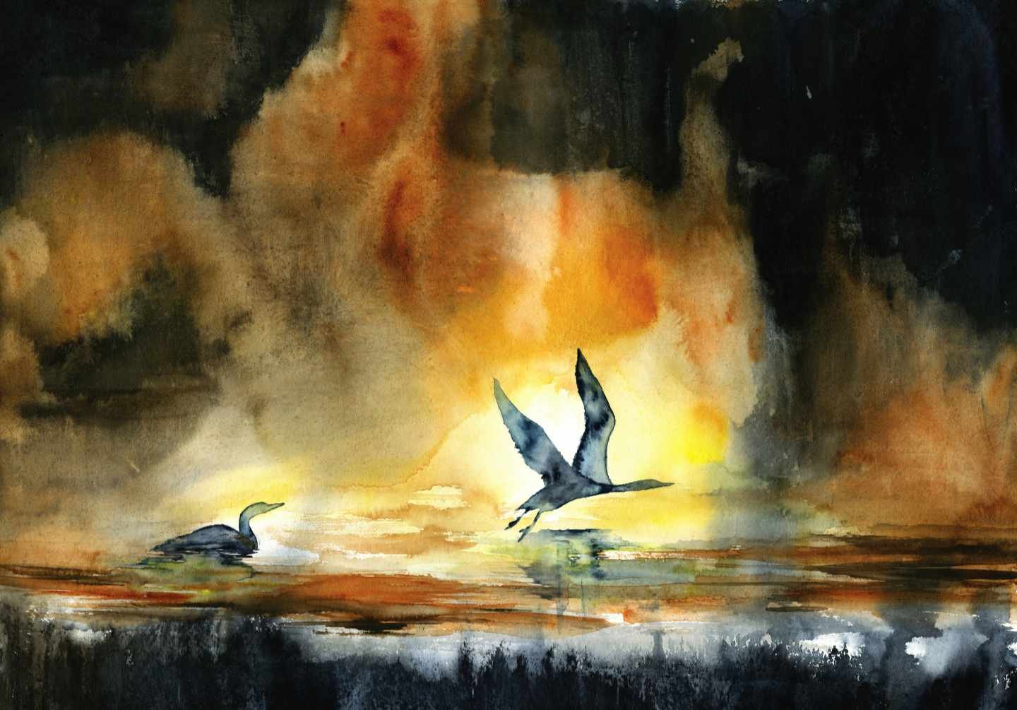 Morning on the River