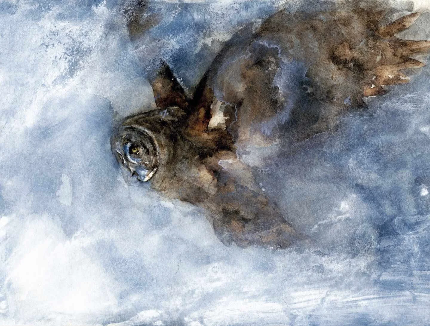 GreatGreyOwl 20 web.jpg