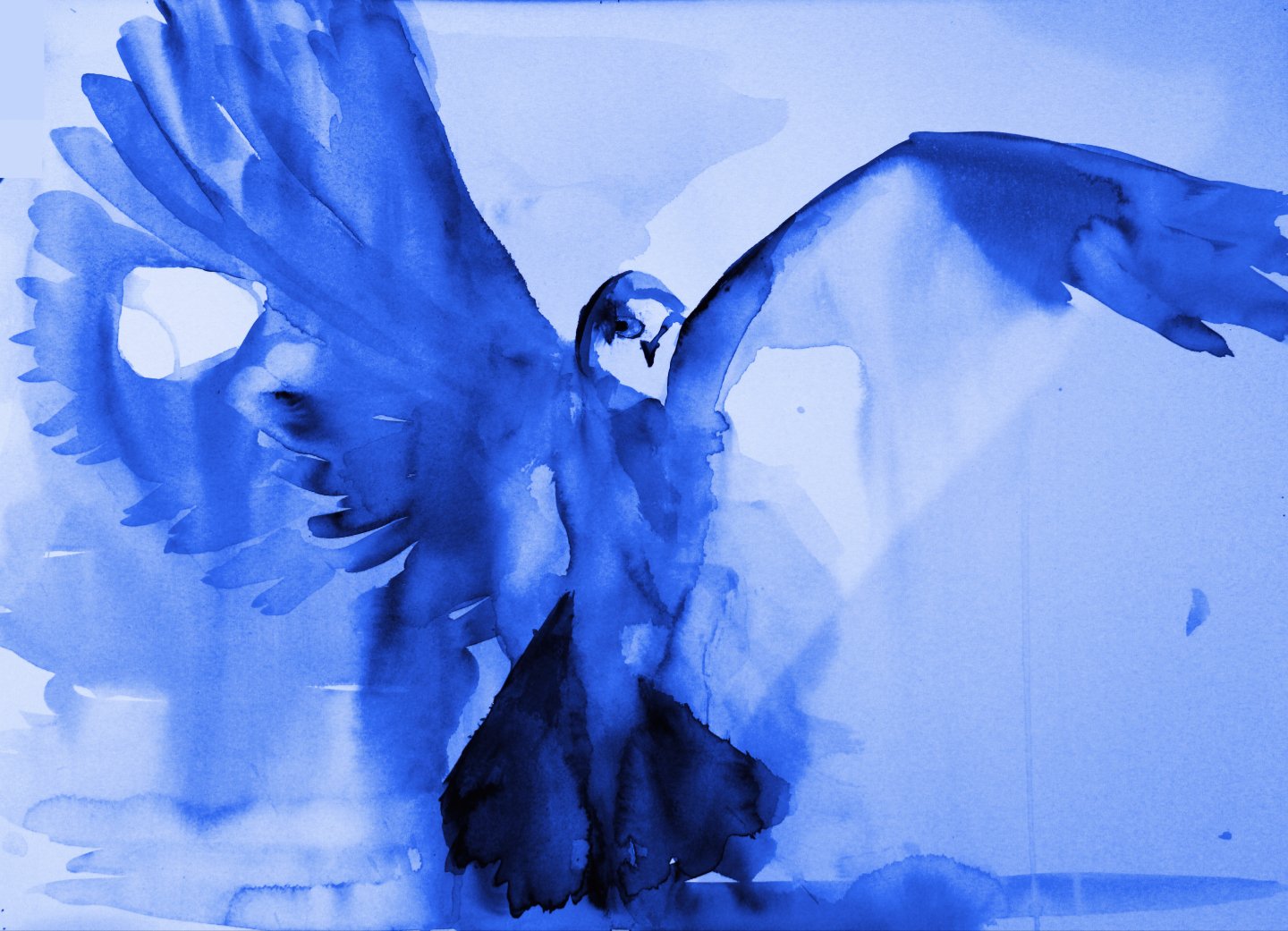 Falcon Landing web 20.jpg