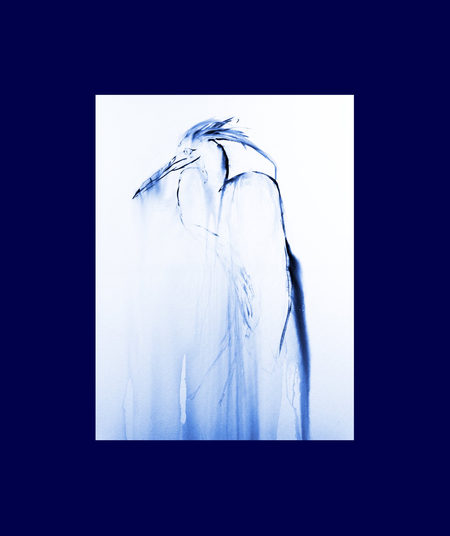 v4 Egret Alone for web blue border.jpg