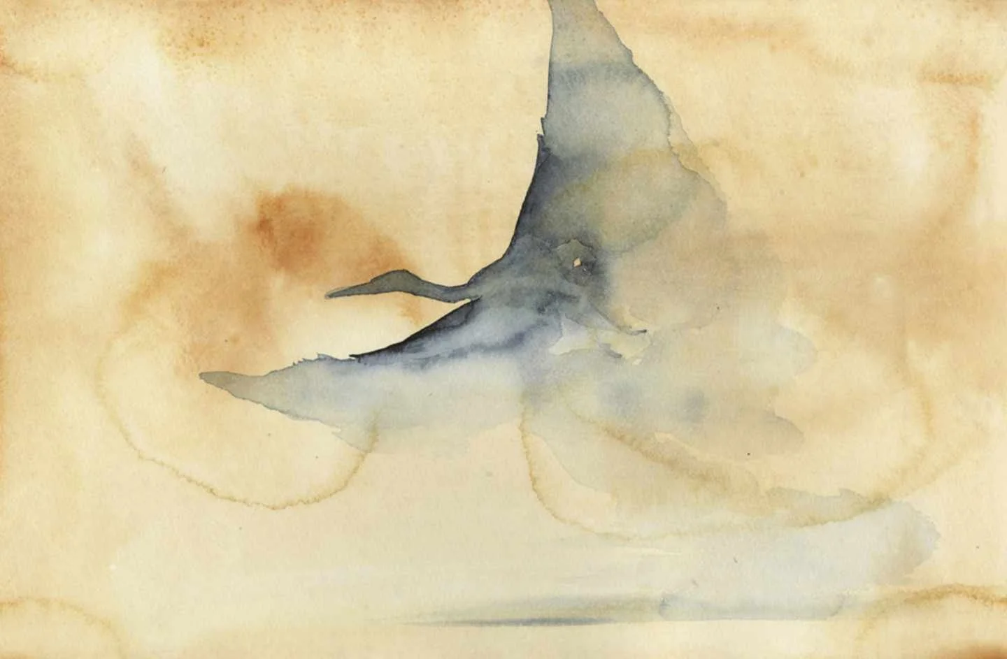 Heron Dream 20 web.jpg