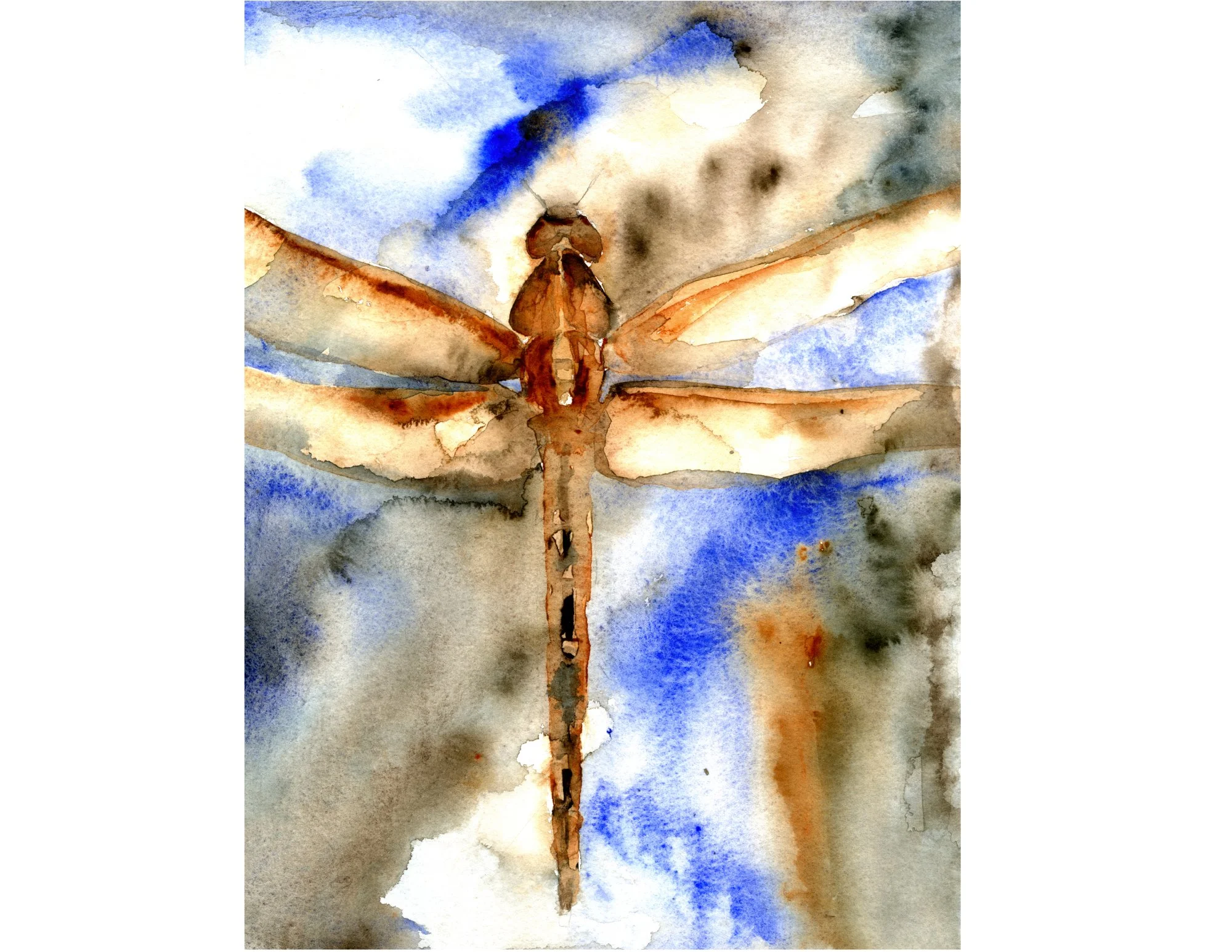Dragonfly of happiness.jpg