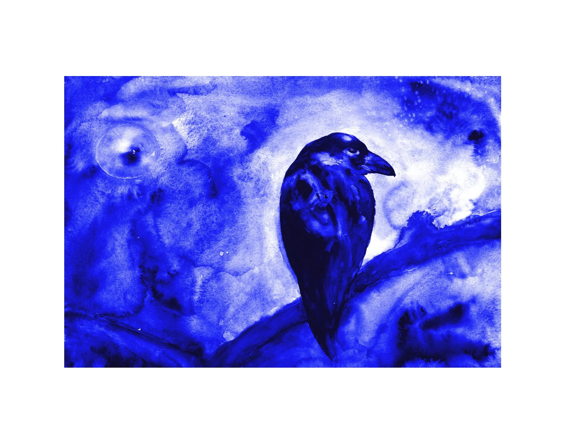 Raven Evening Blue with border.jpg