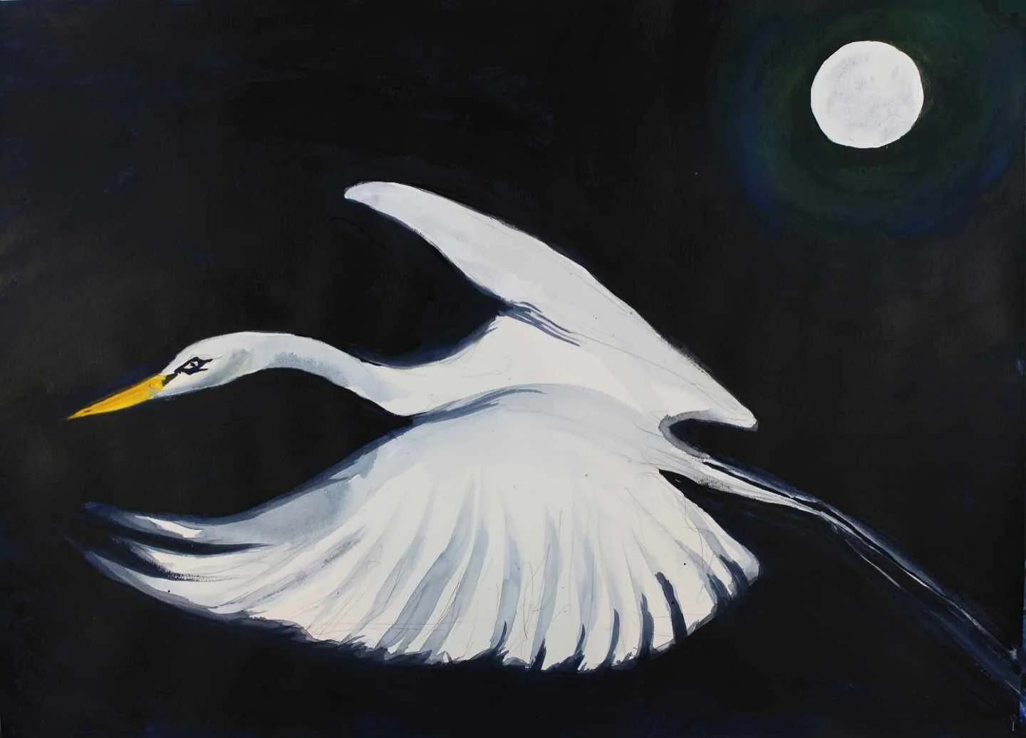 Moonlight Flight 20 web.jpg