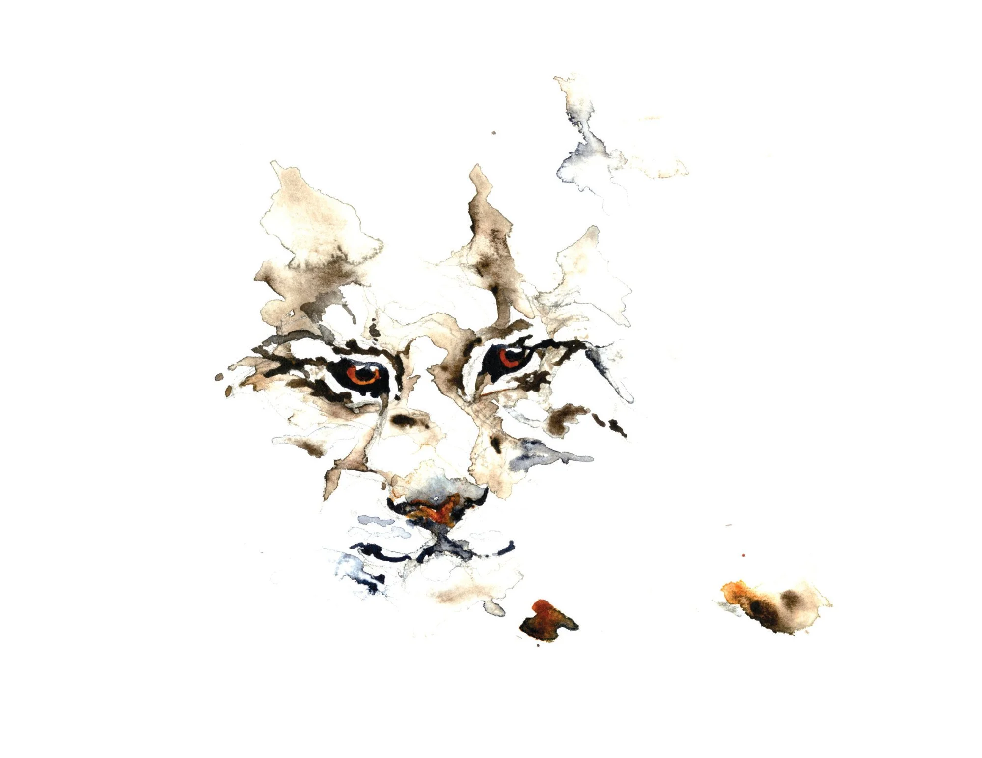 Bobcat Youth White Border.jpg