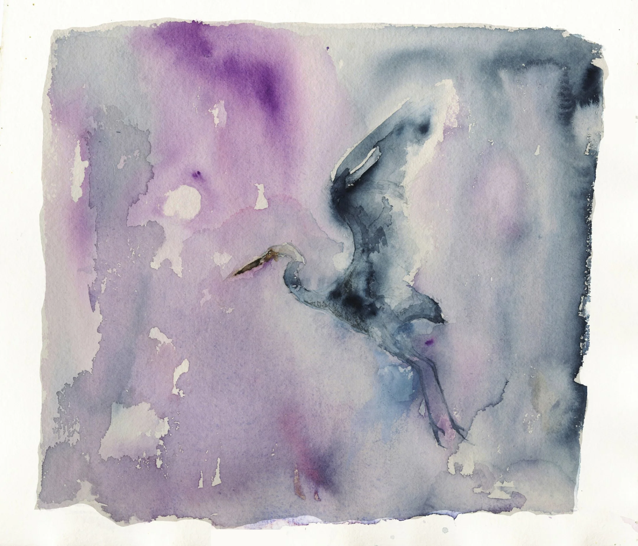 Heron Luminescence II Watercolor 