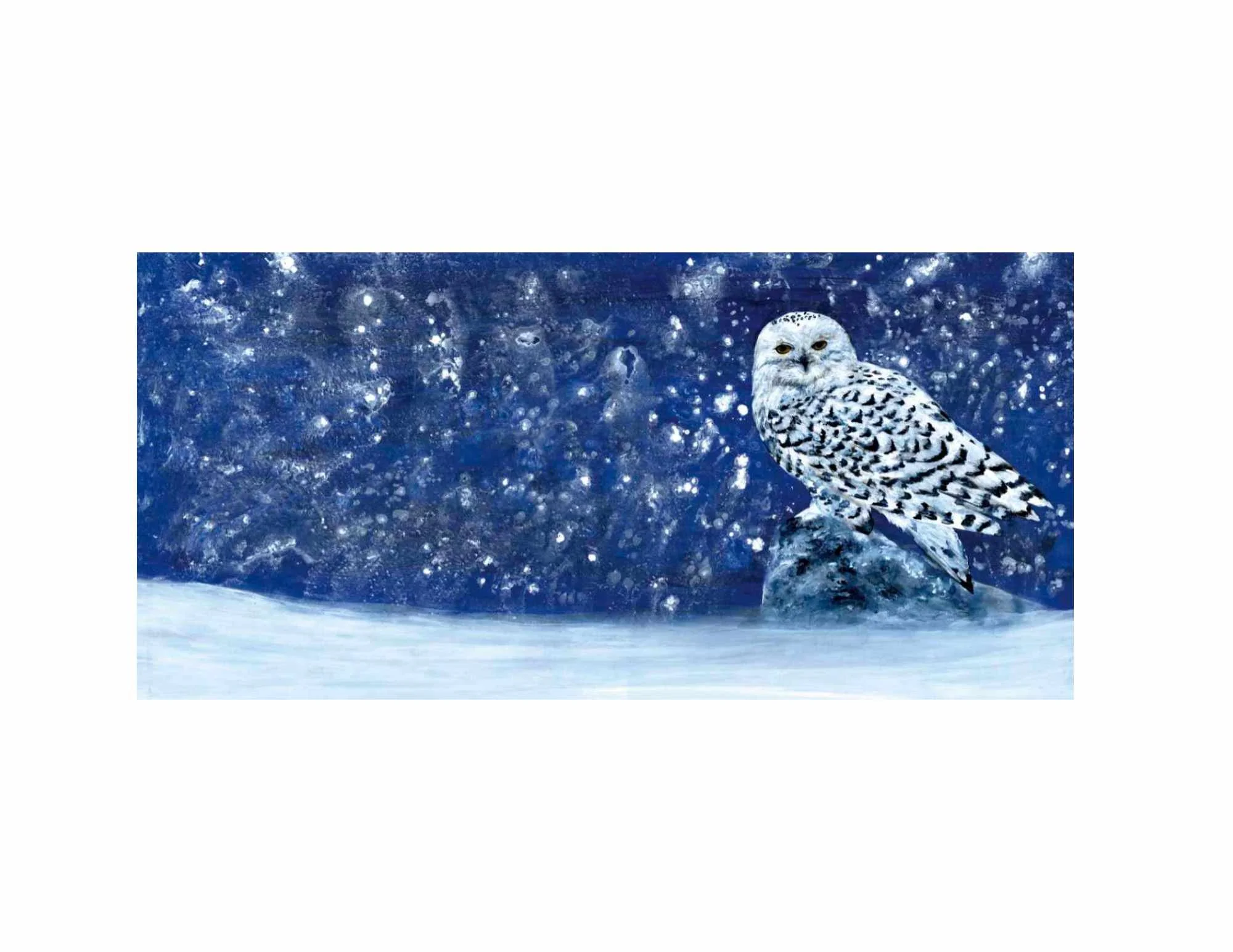 Snowy Evening White Border for Website.jpg