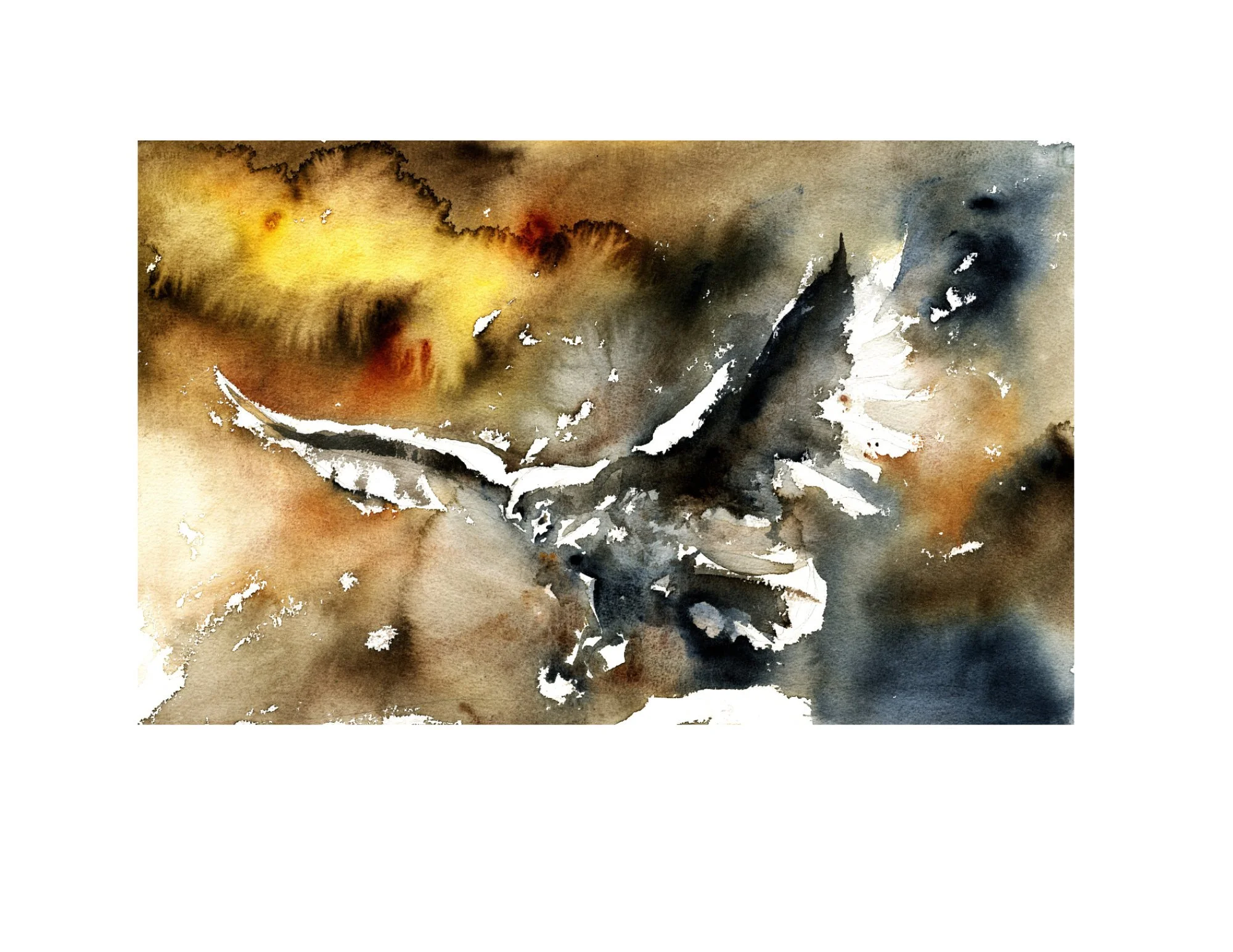 Owl impression White Border.jpg