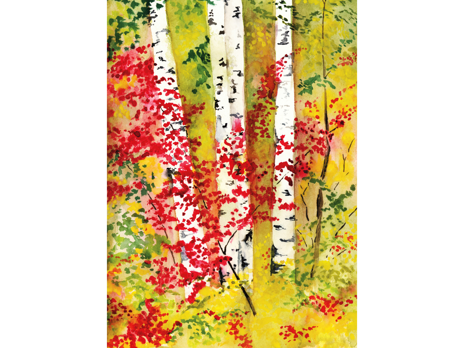 Birches II.png