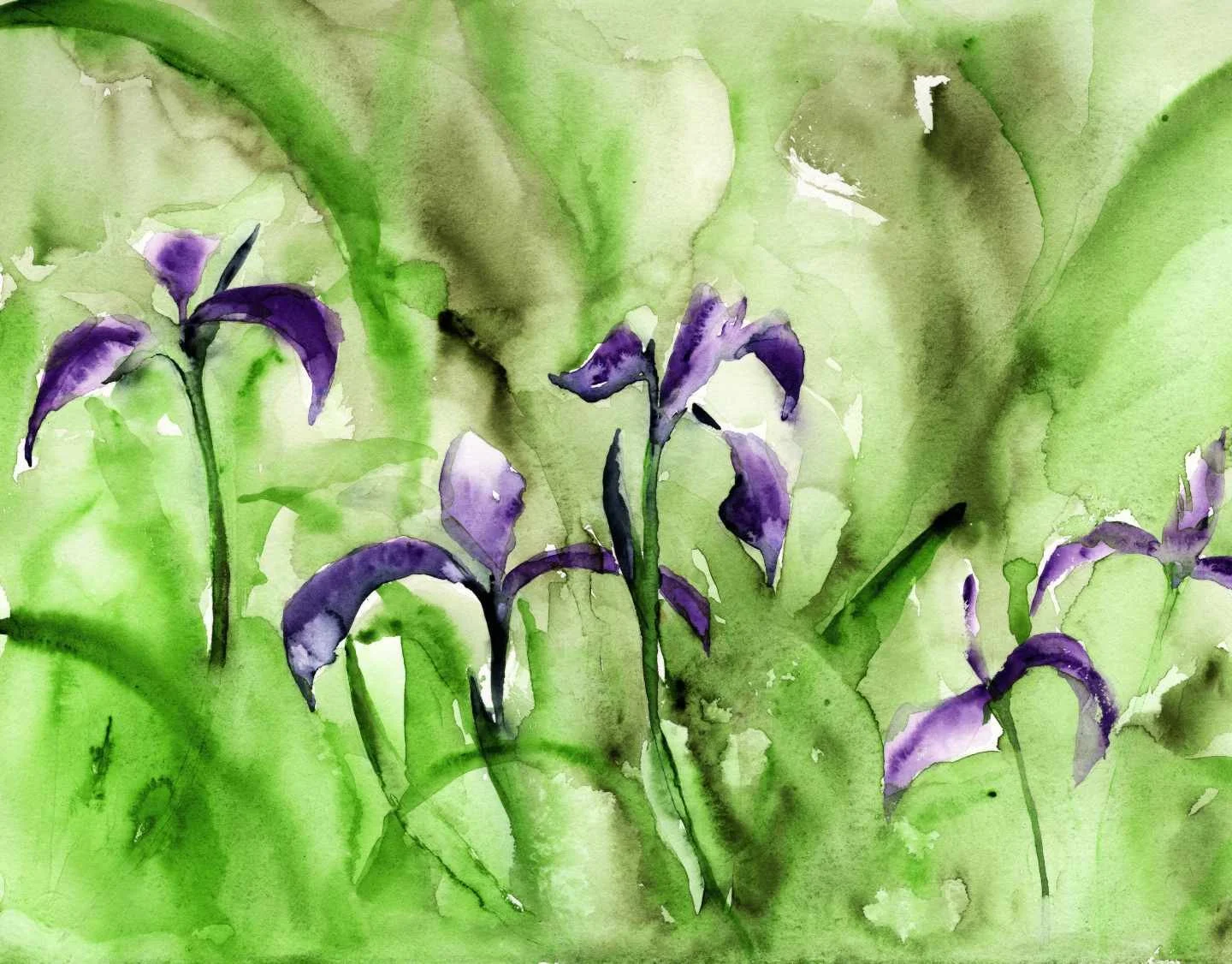 Wild Iris 20 web.jpg