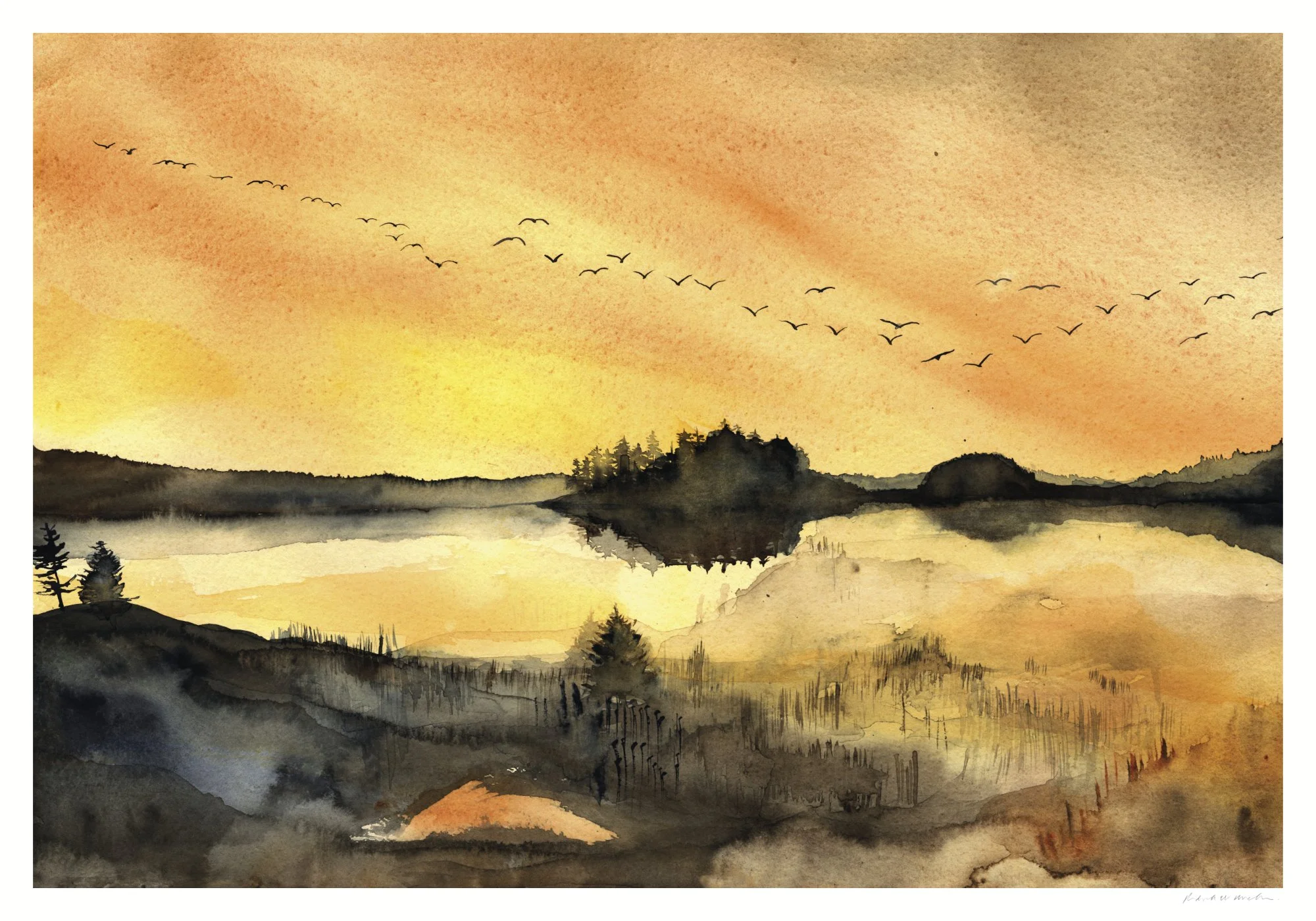 MorningMigration web.jpg