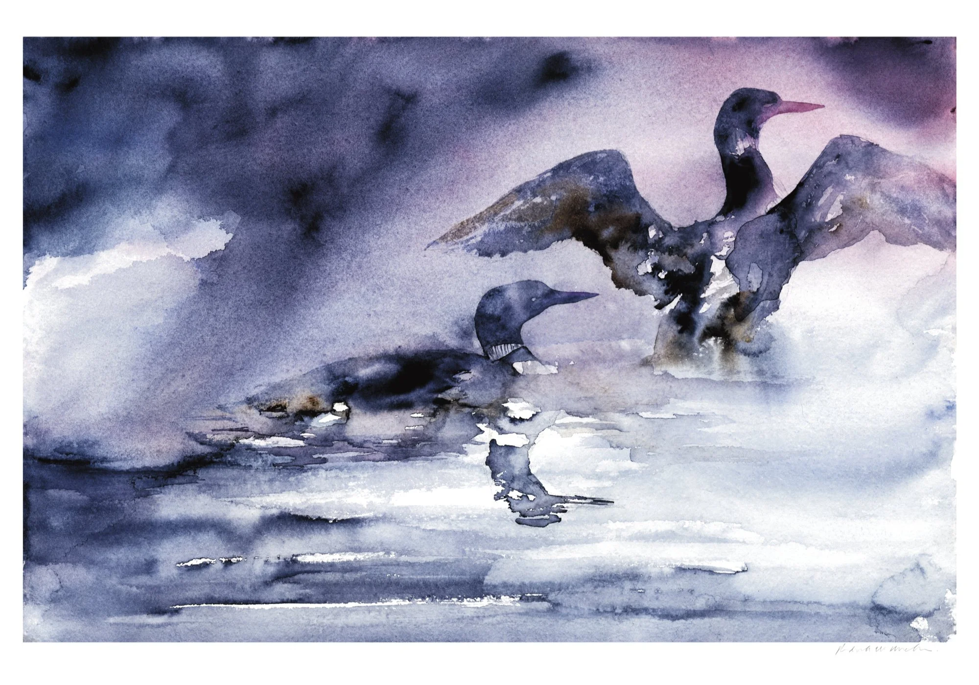 Liquidation Sale - Nature Art Prints Assorted Sizes - Eleven for $100.