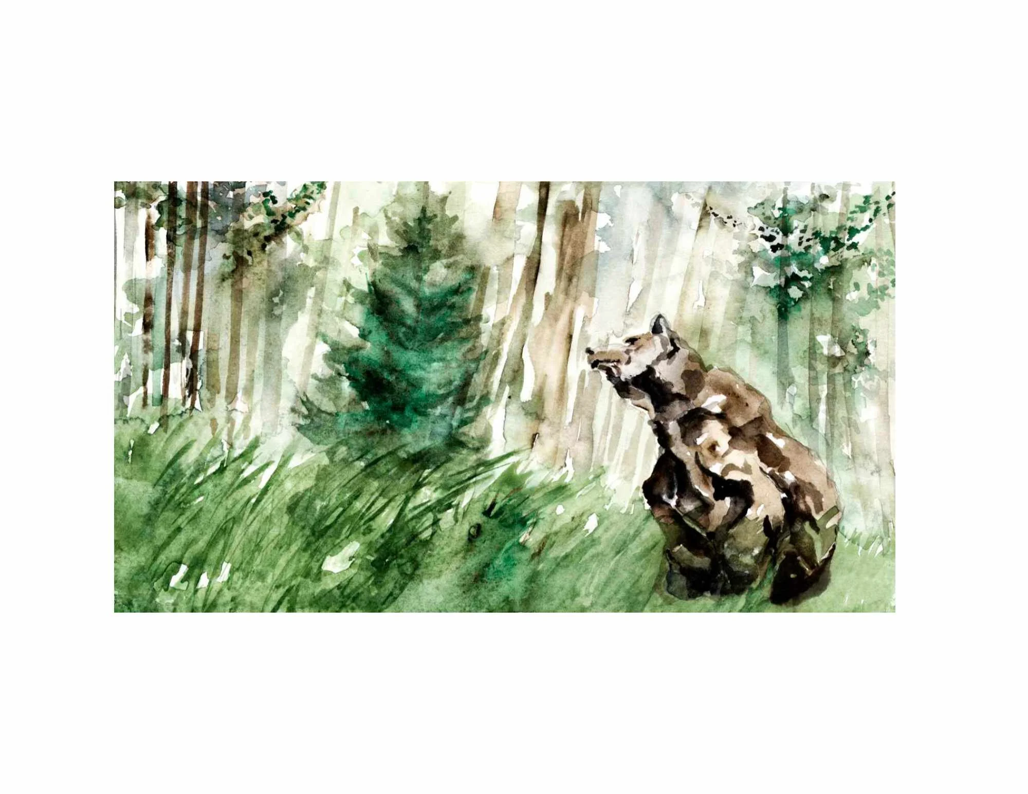 Grizzly Wonder Watercolor 