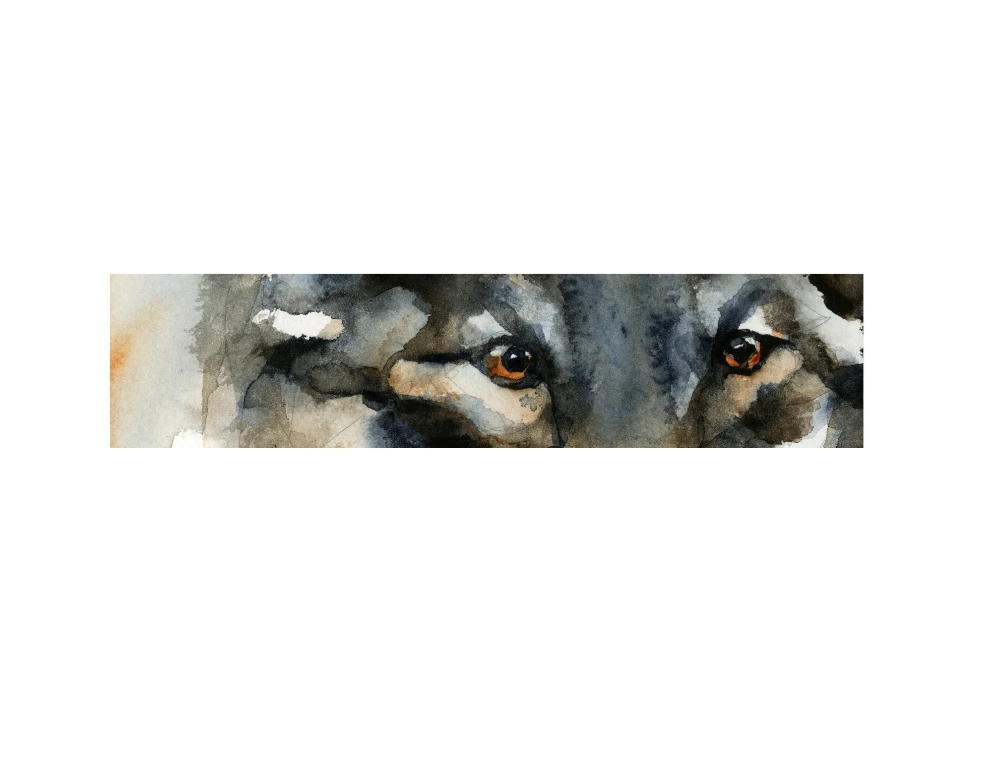 wolf eyes crop White Border.jpg