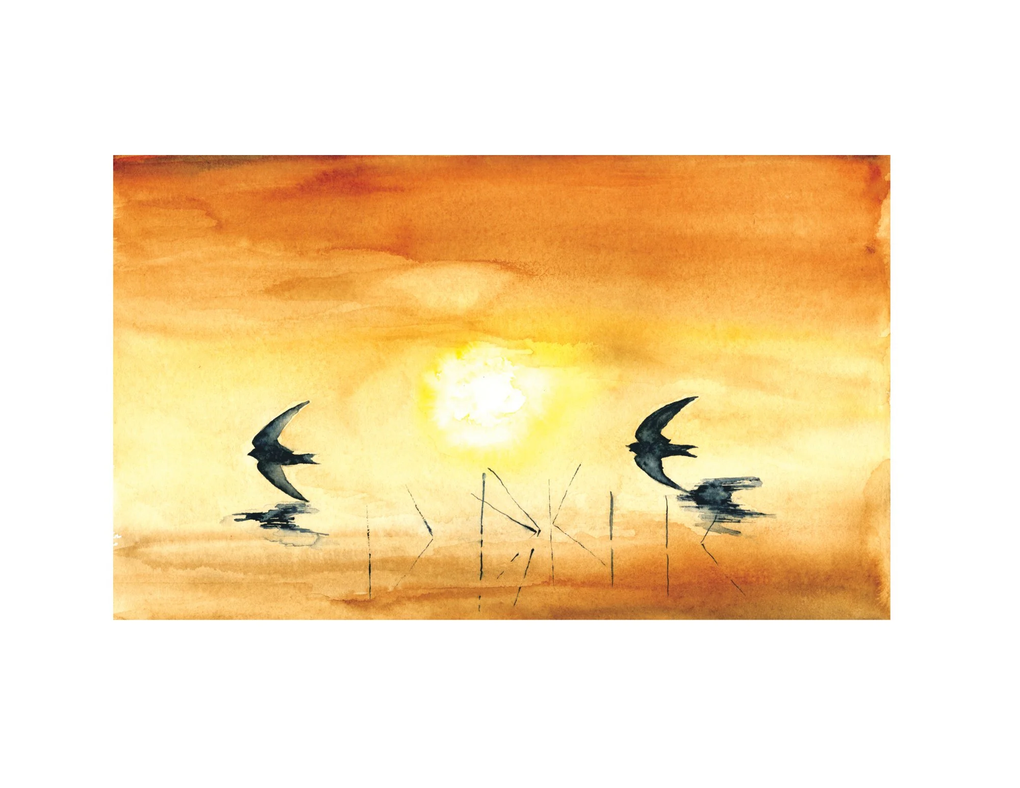 Up with the dawn White Border.jpg