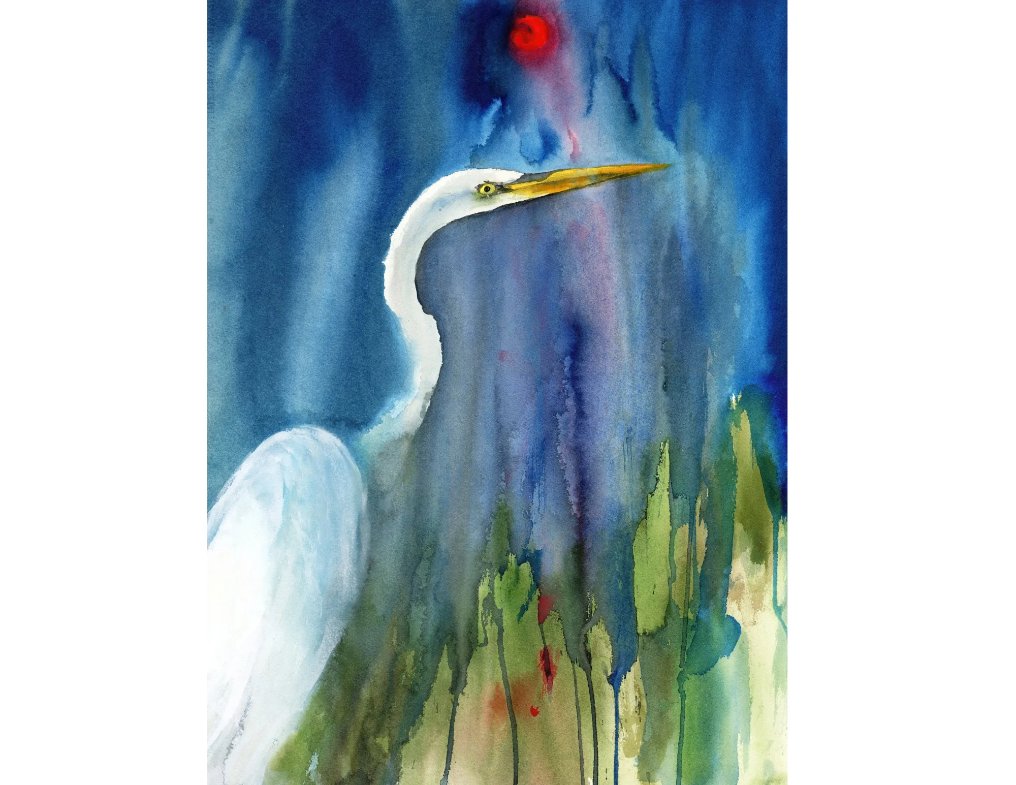 Great Egret Blue.jpg
