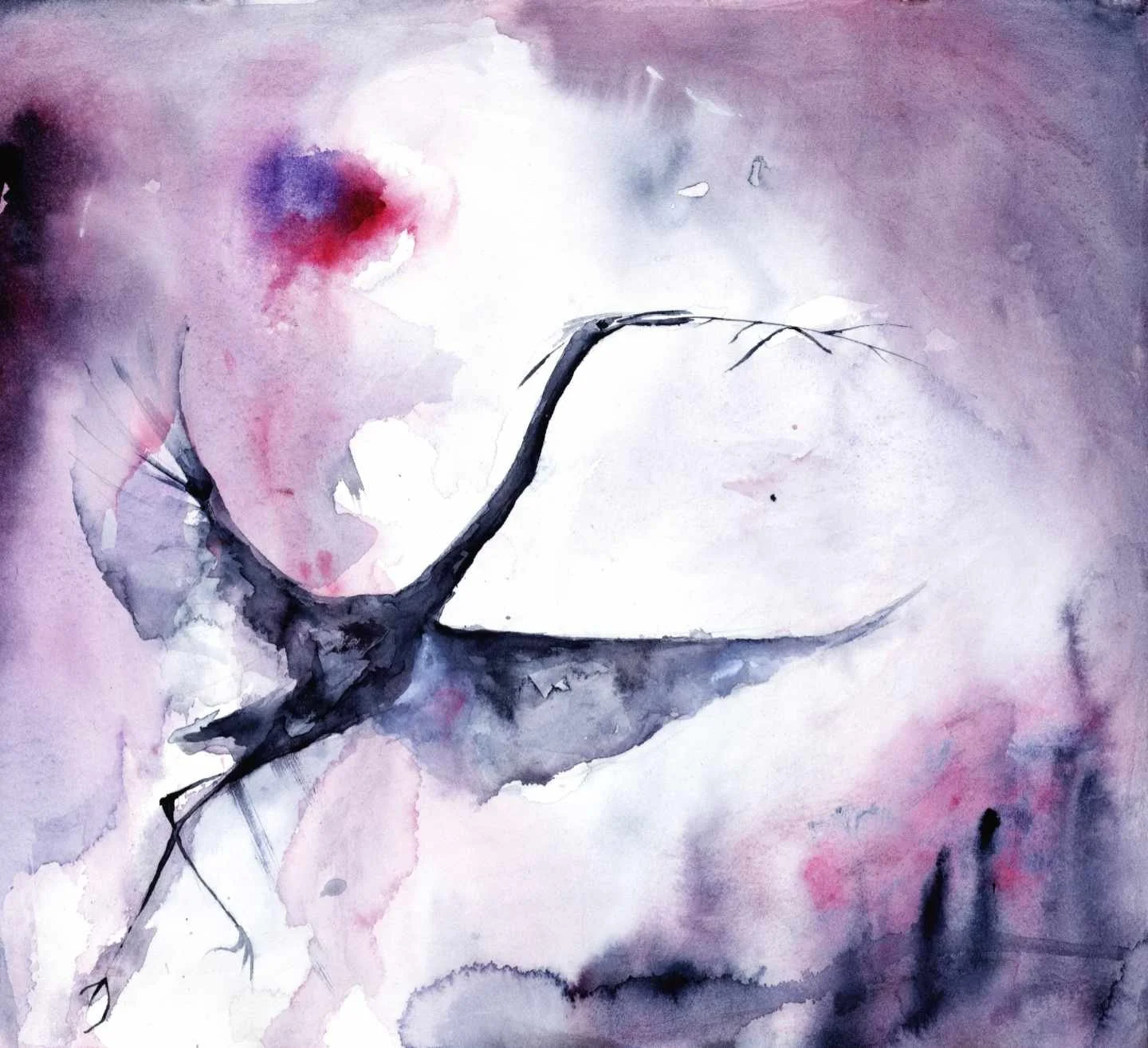 Egret Eclipse 20 web.jpg