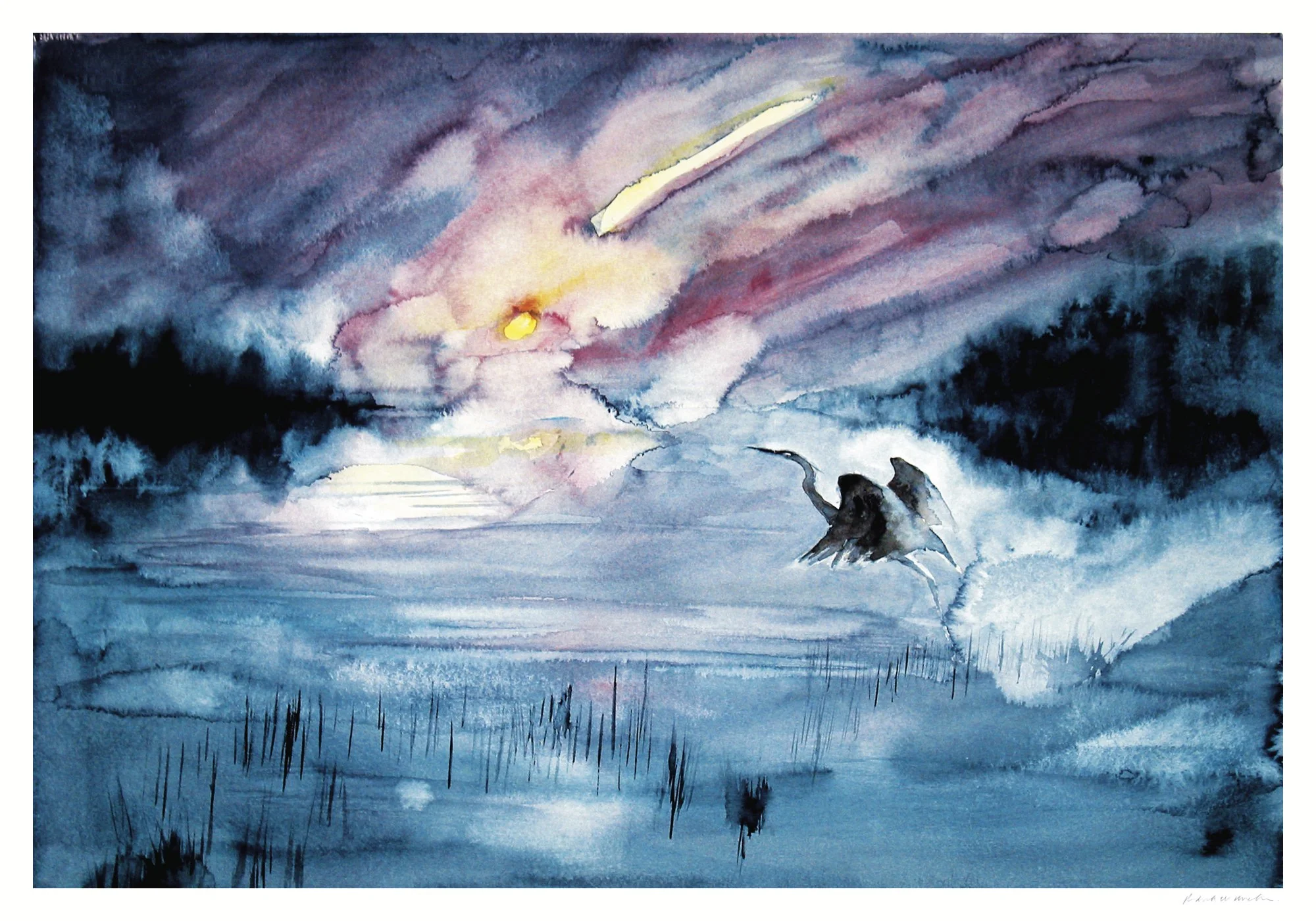 le3401 sunset heron web.jpg