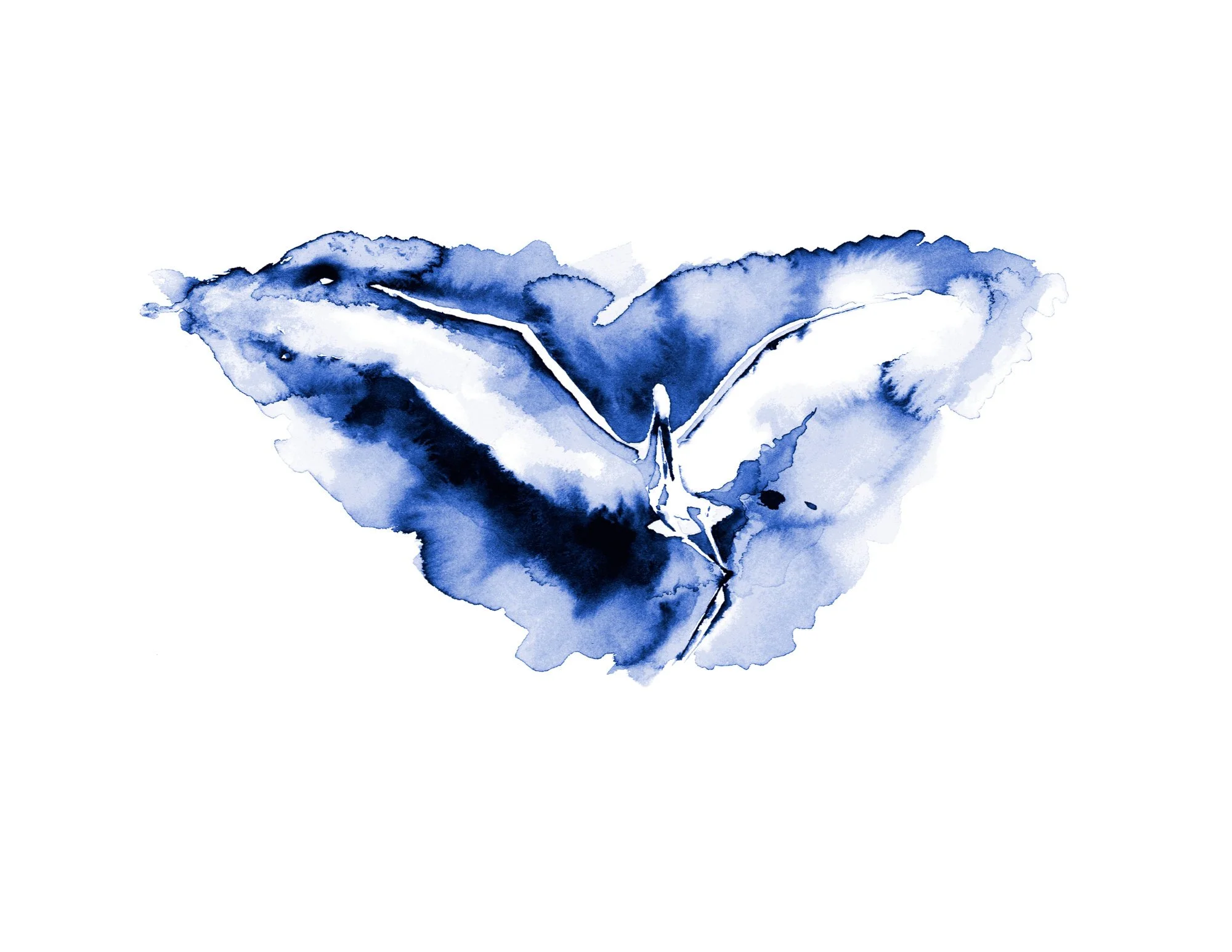 Watercolor Egret White Border.jpg