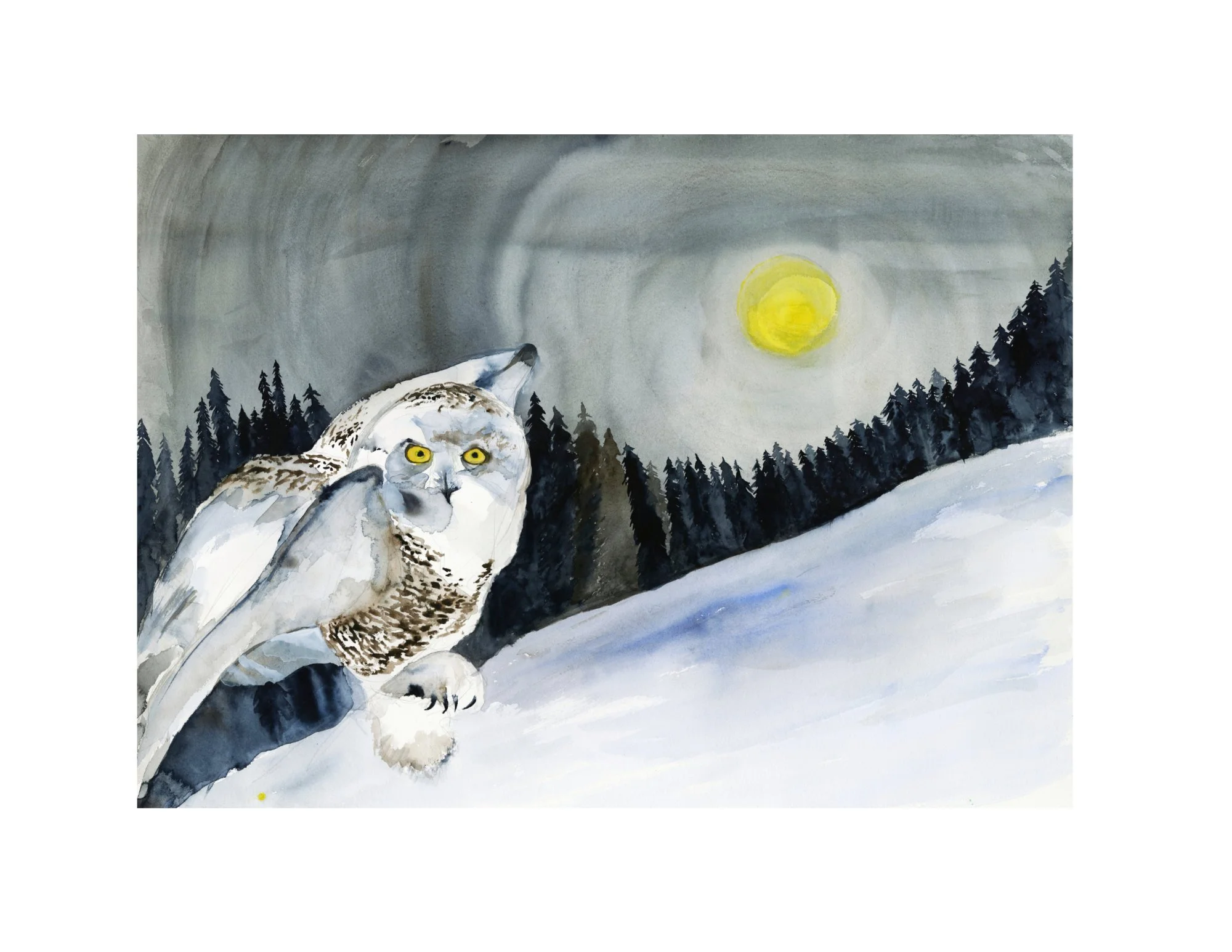 Snowy Moon White Border.jpg